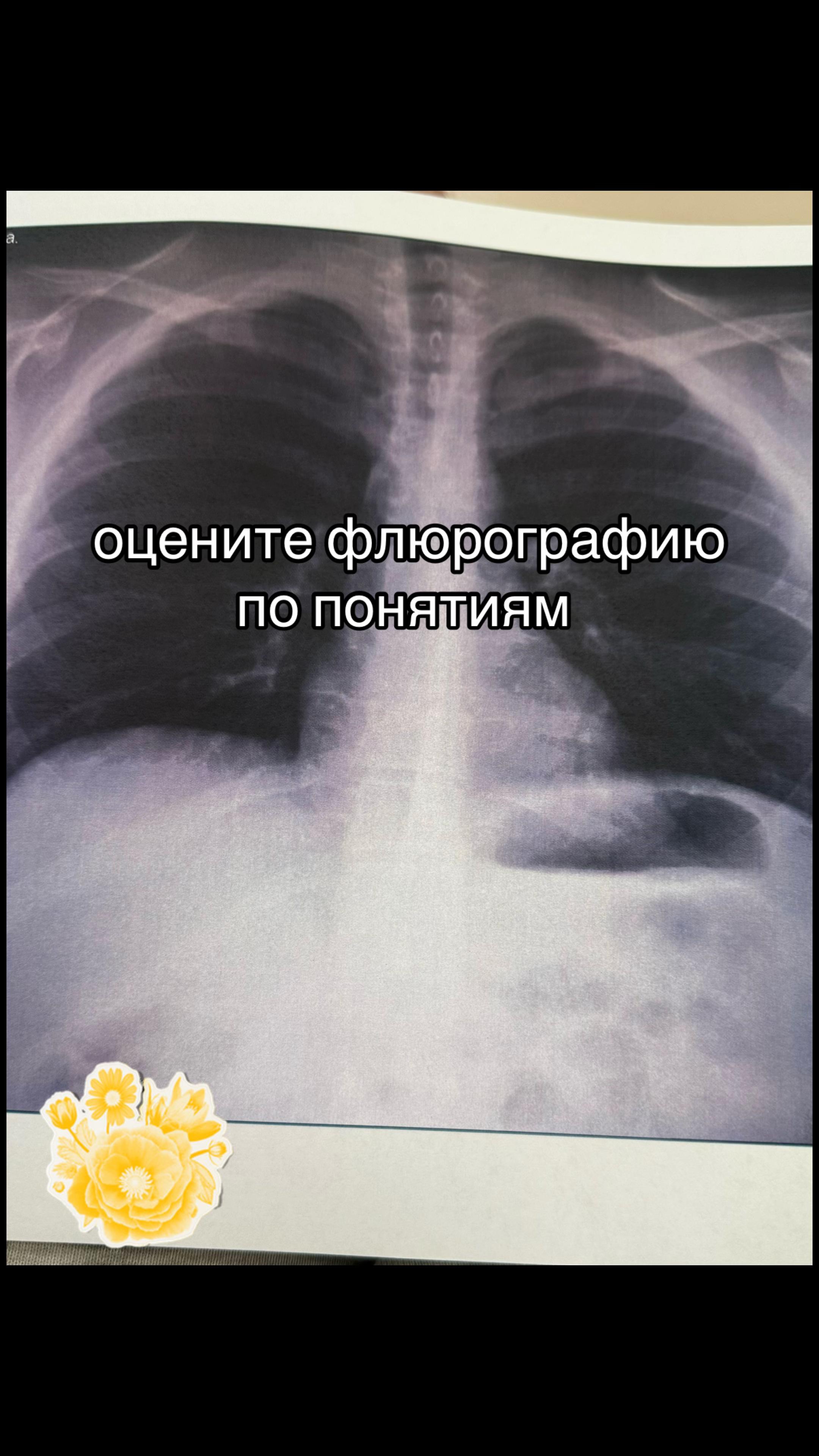 @инста тян