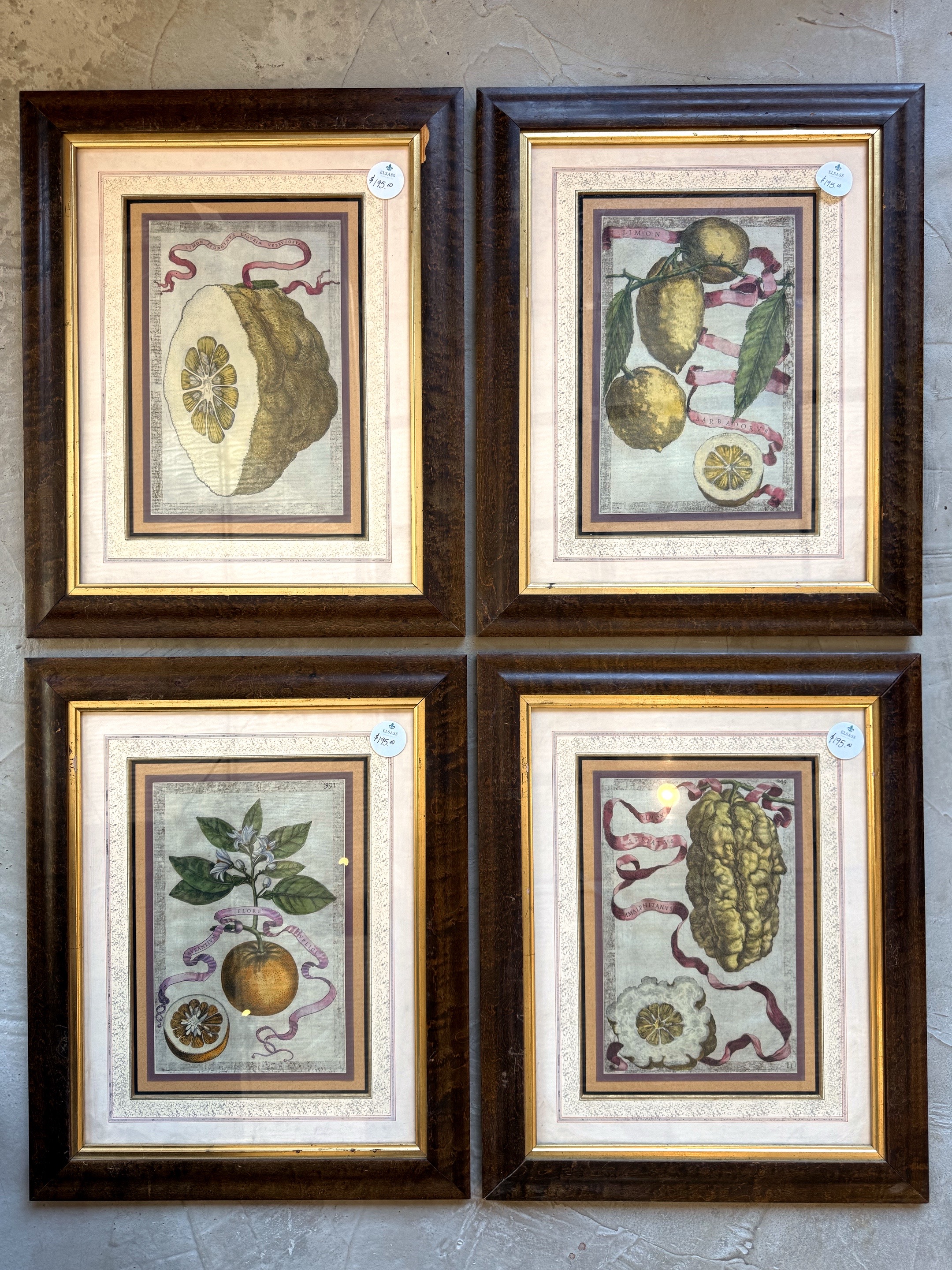 @Elsass | Imported Antiques