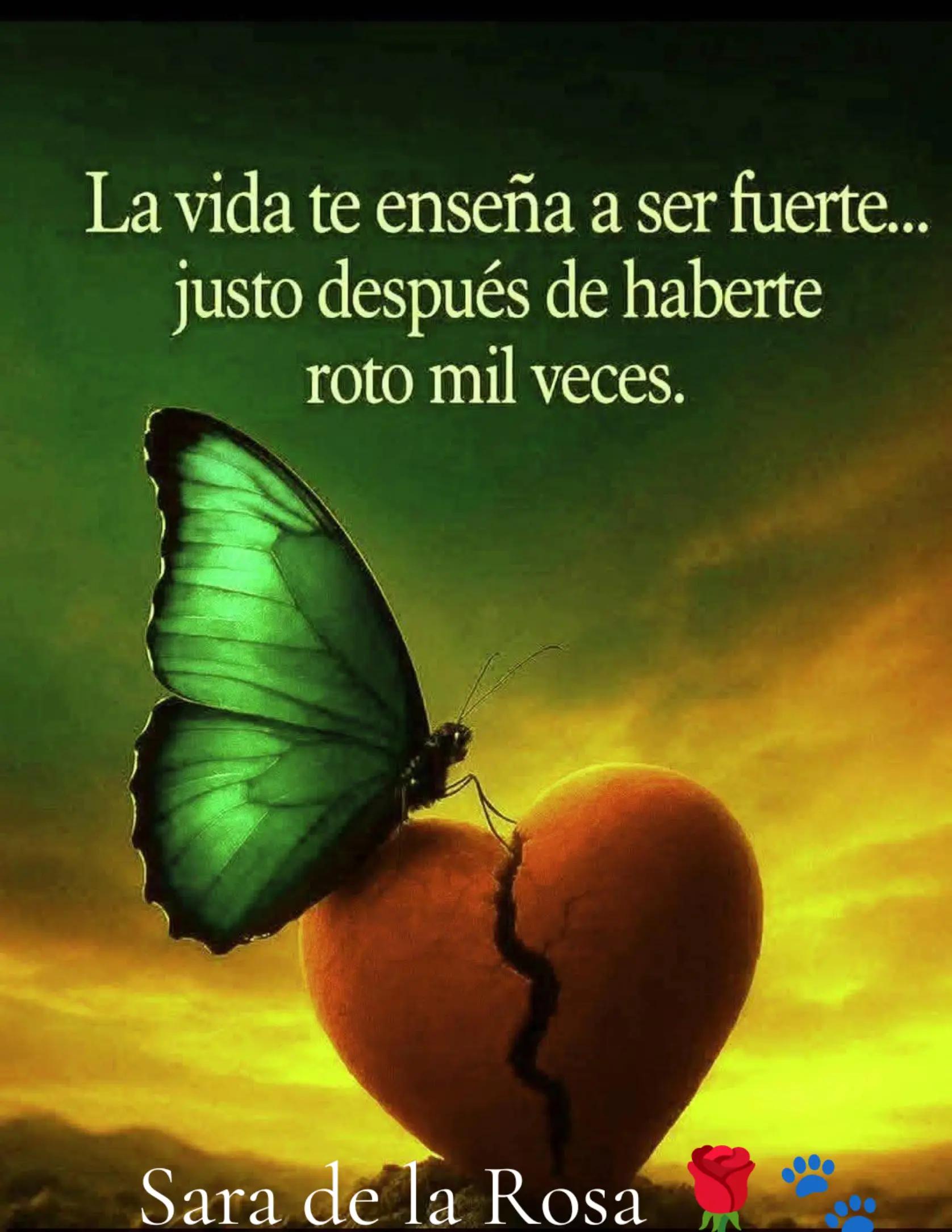 @Chaparrita ☺️❤️🧡💛🩵💙💜2025