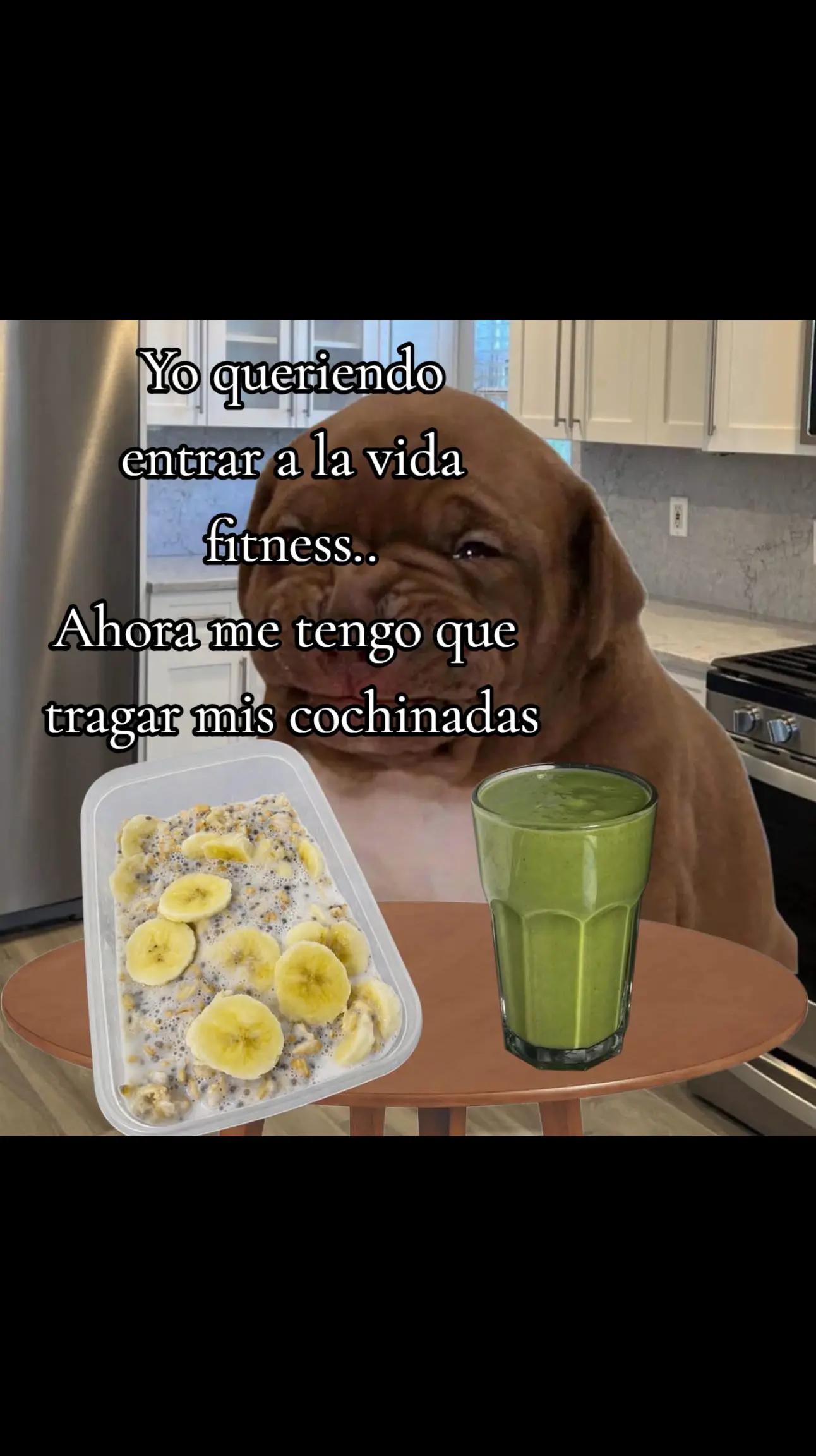 @Bustillos Jazmin