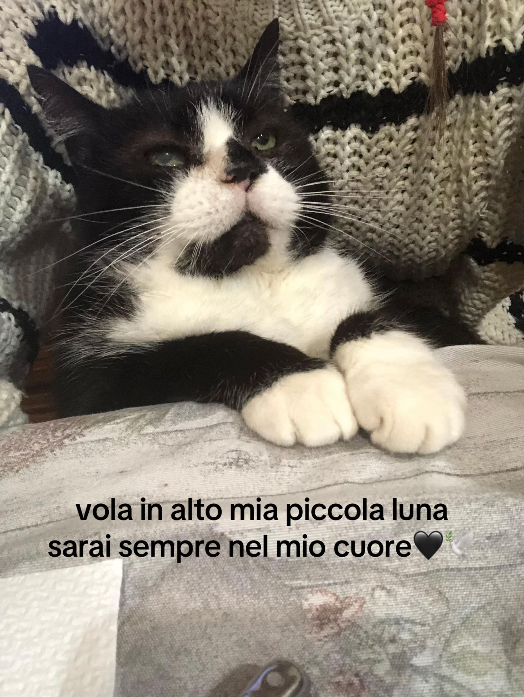 @giuliaaa