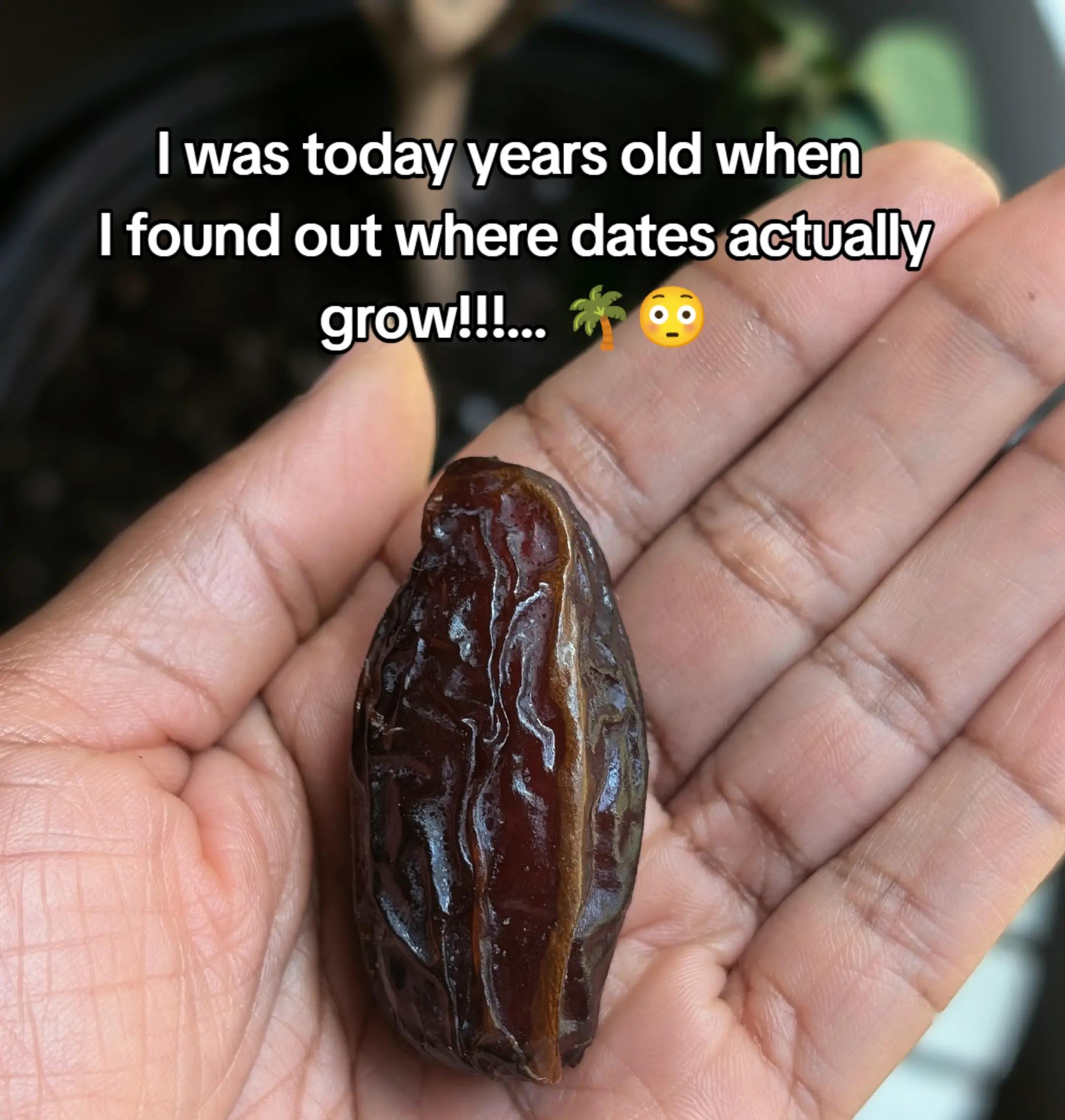 @Tee