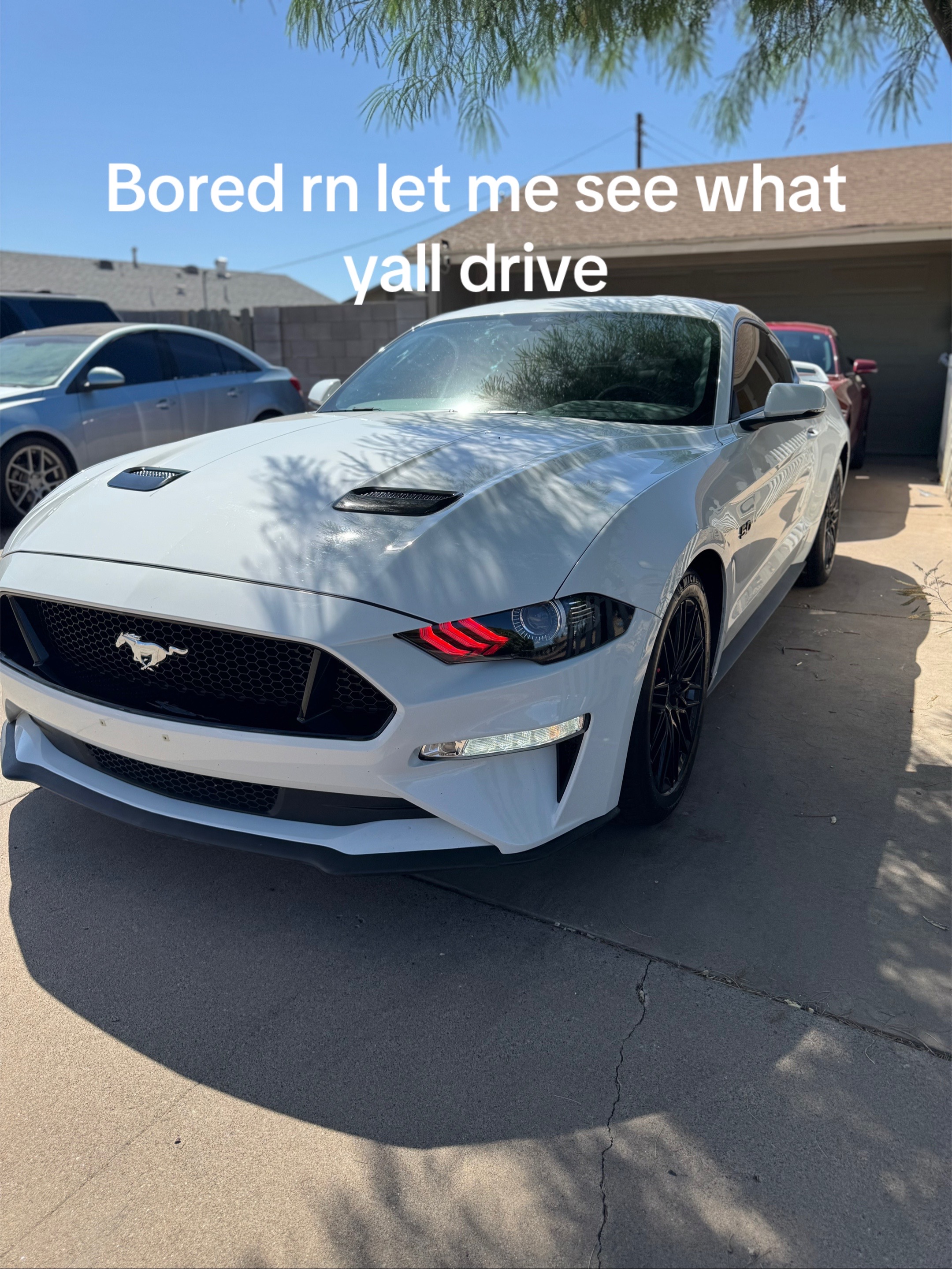 @5.0 Snowyy