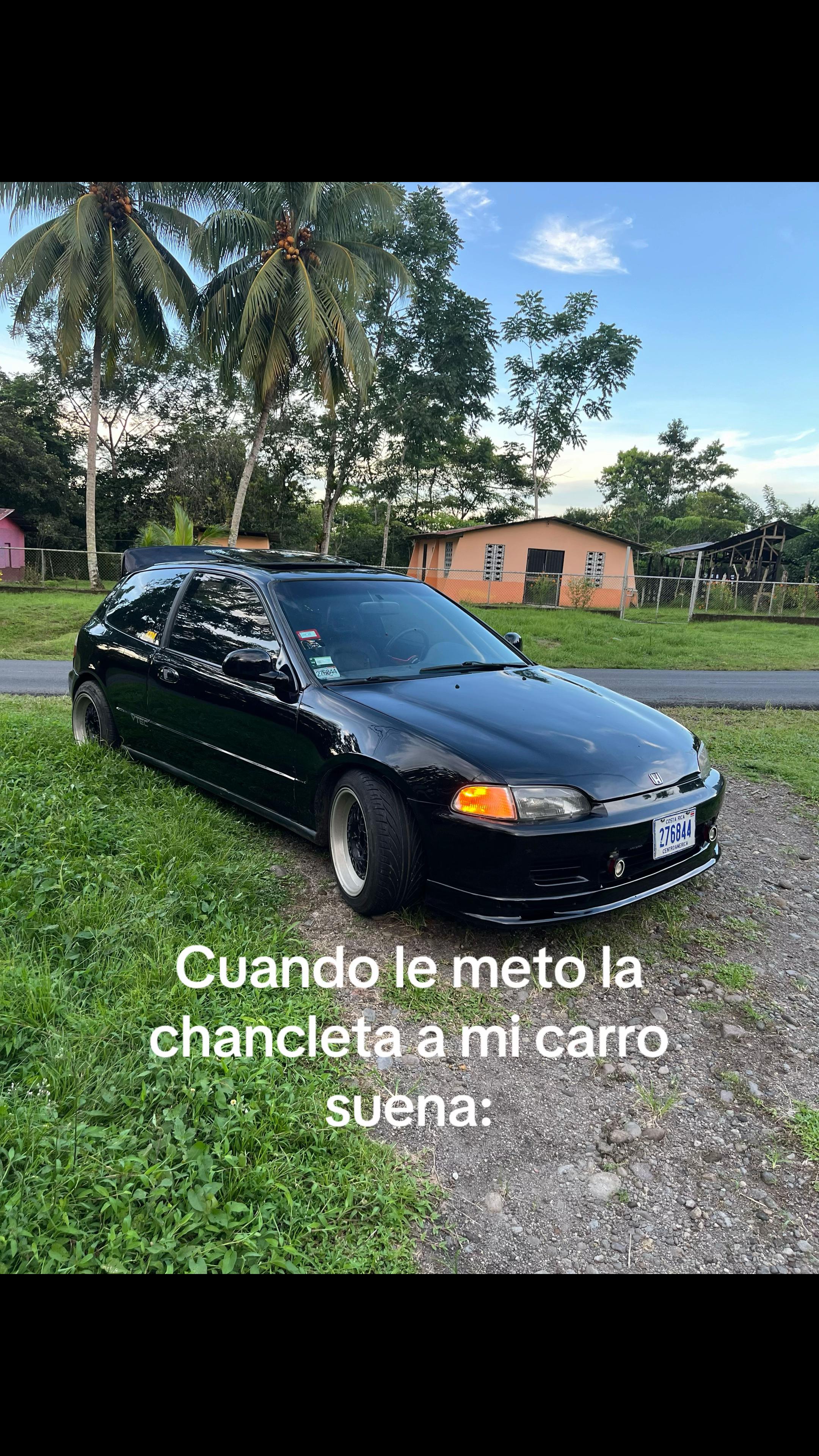 @Greivin Arguello