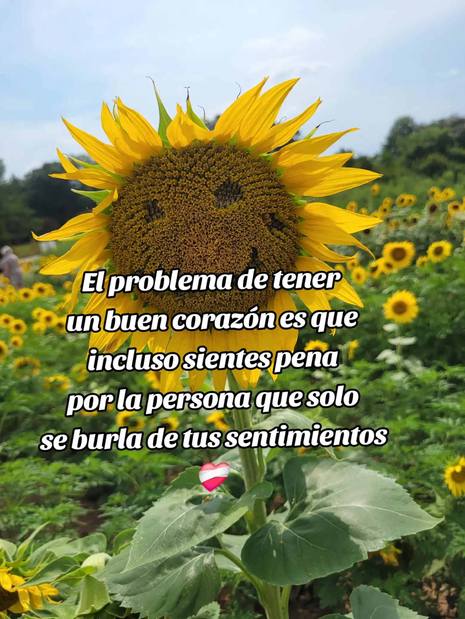 @🌻AnaFerrera 🤘🏻🫦🌻✨⚽️