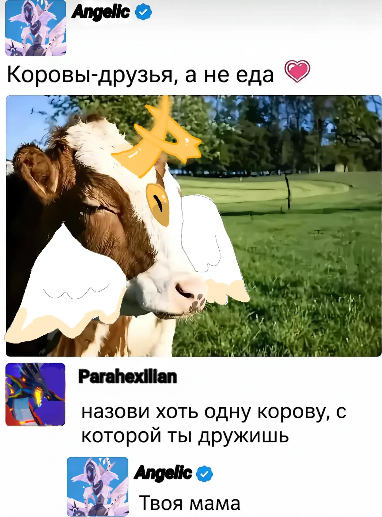 @𝐙𝐚𝐬𝐢𝐠𝐥𝐞