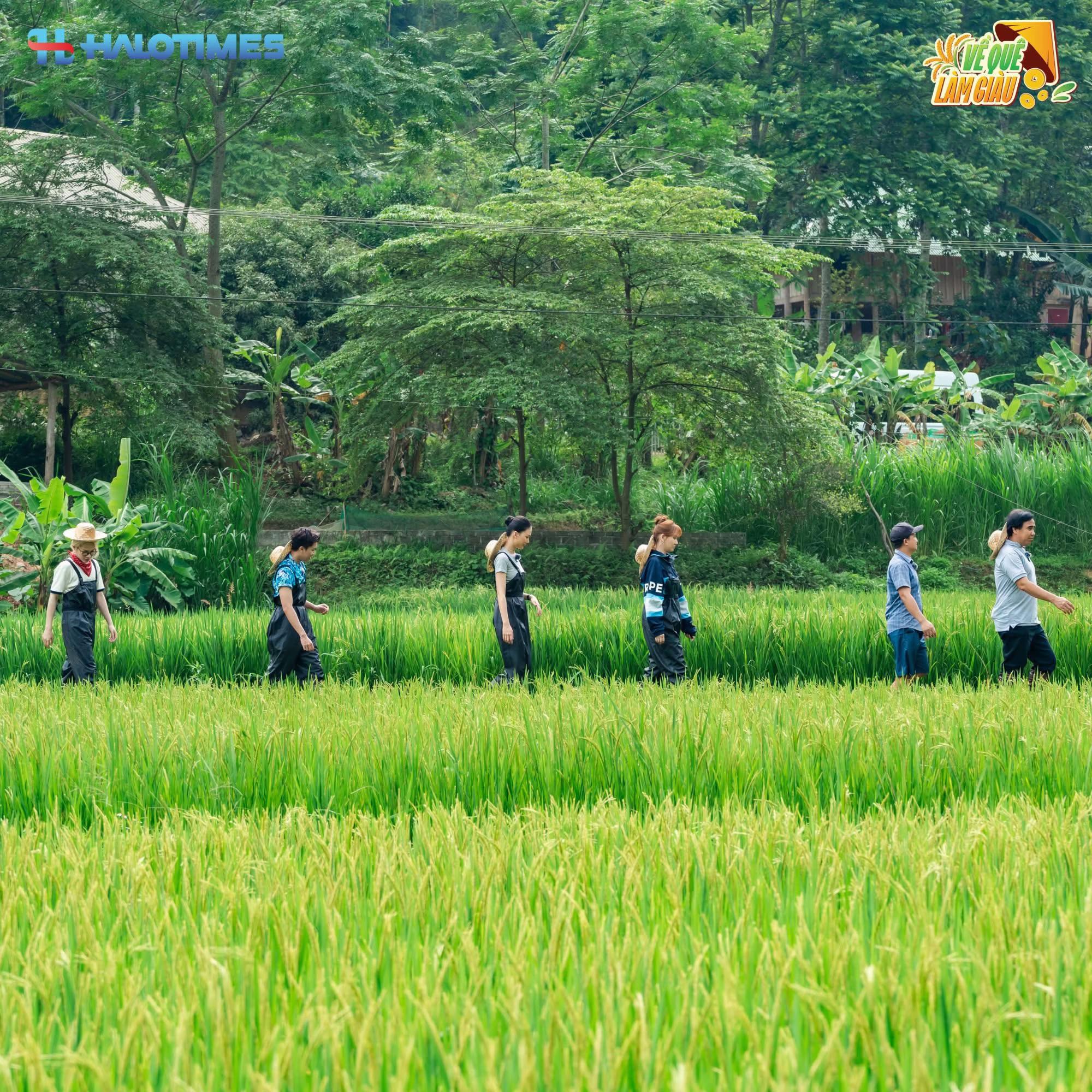 @Về Qu&ecirc; L&agrave;m Gi&agrave;u - Channel