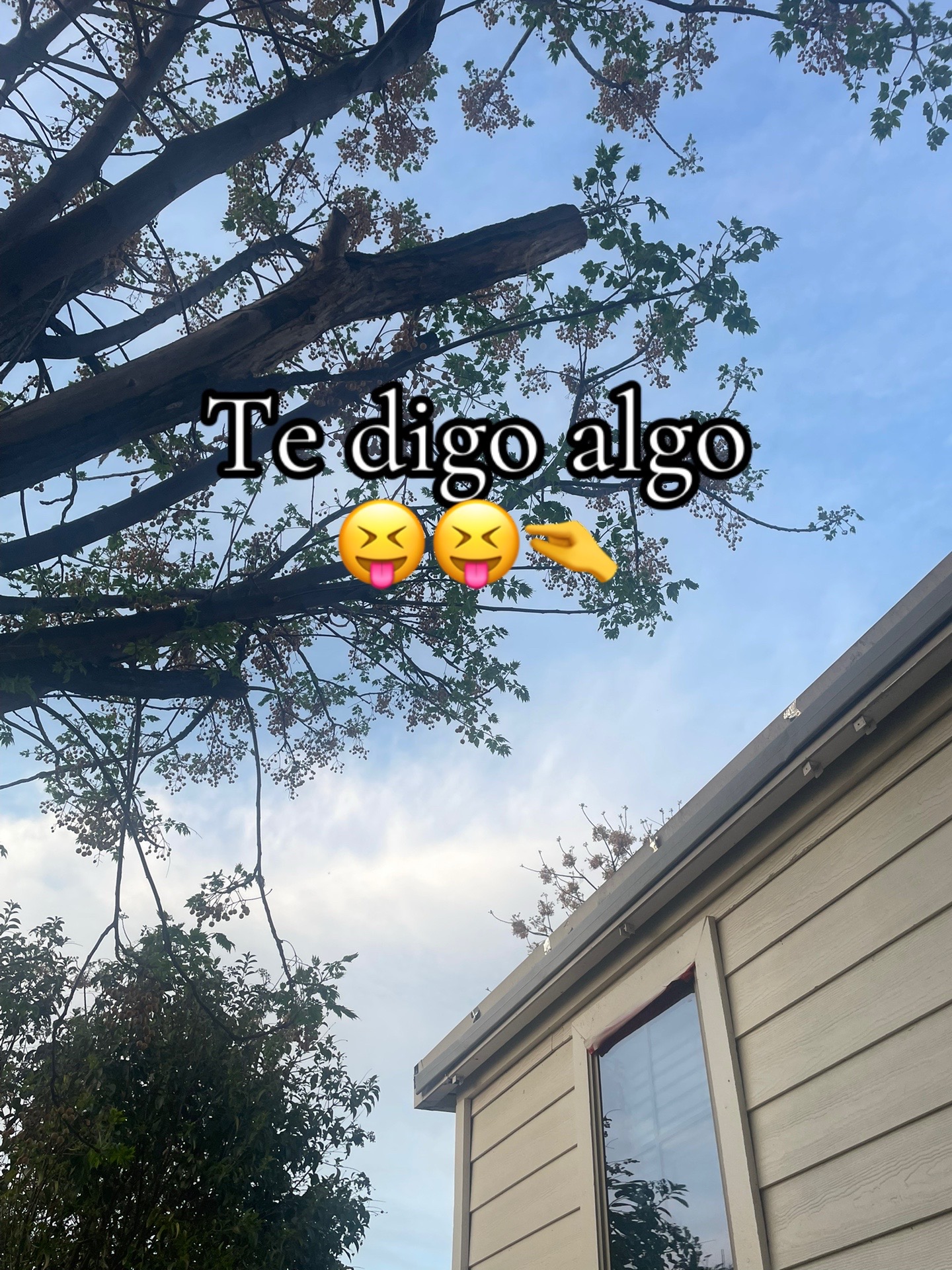 @ale.toc21😝🍓🎀