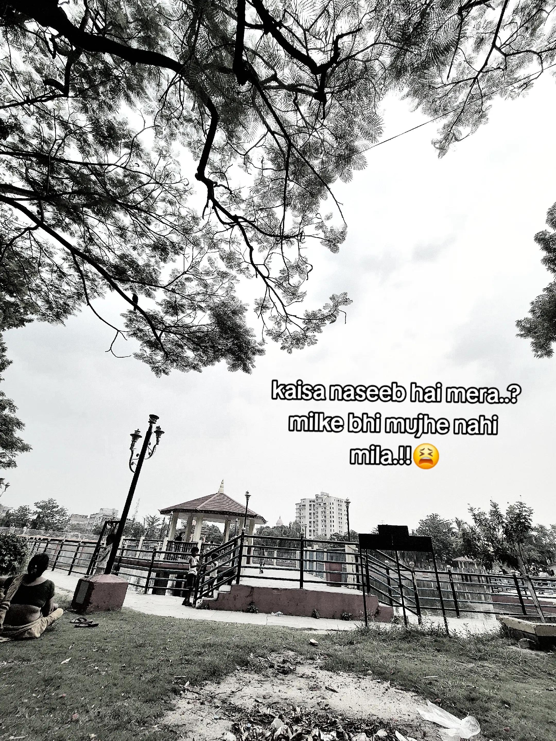 @Samuuuuu🕊🕸️