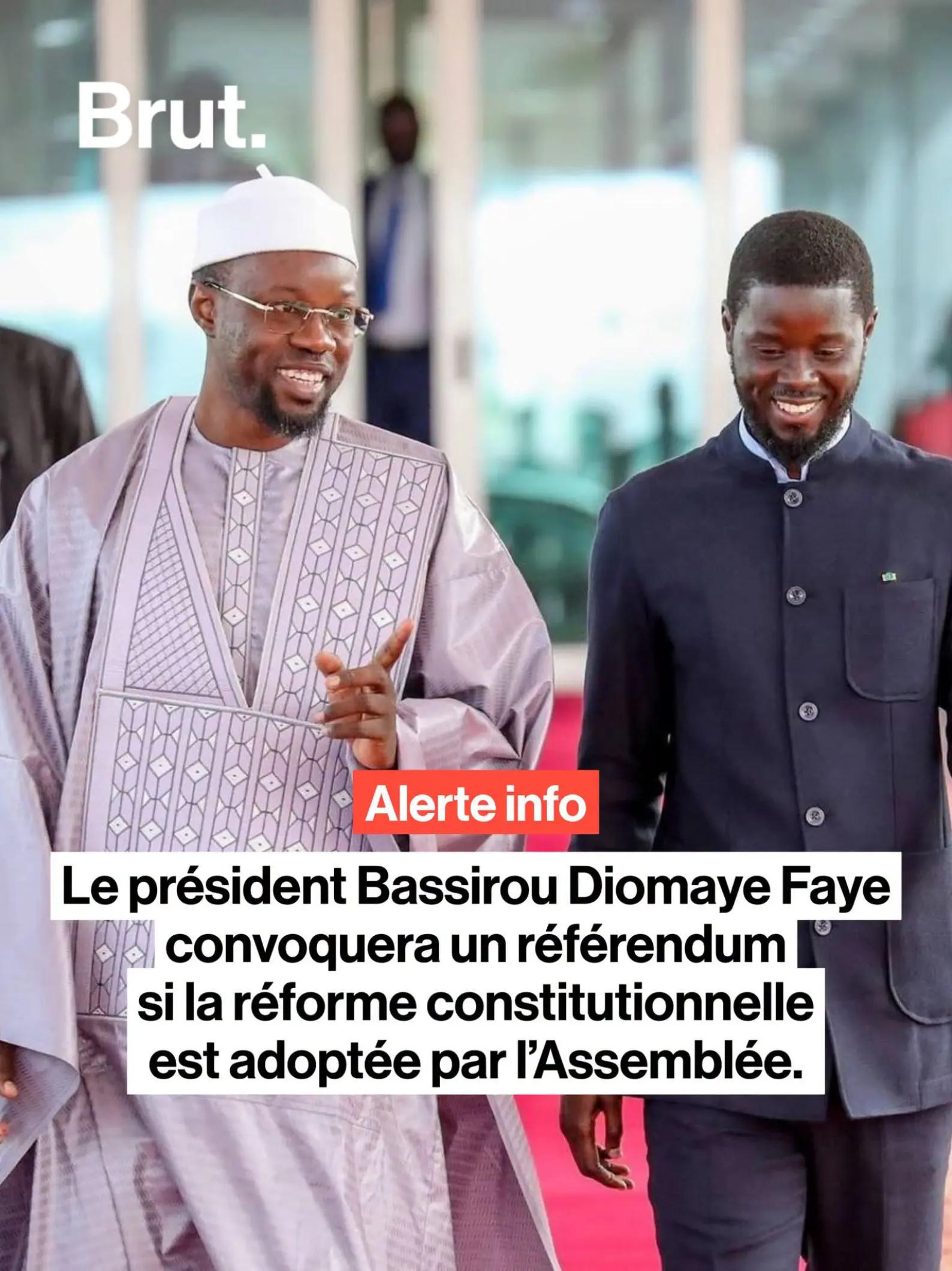 @Brut Afrique