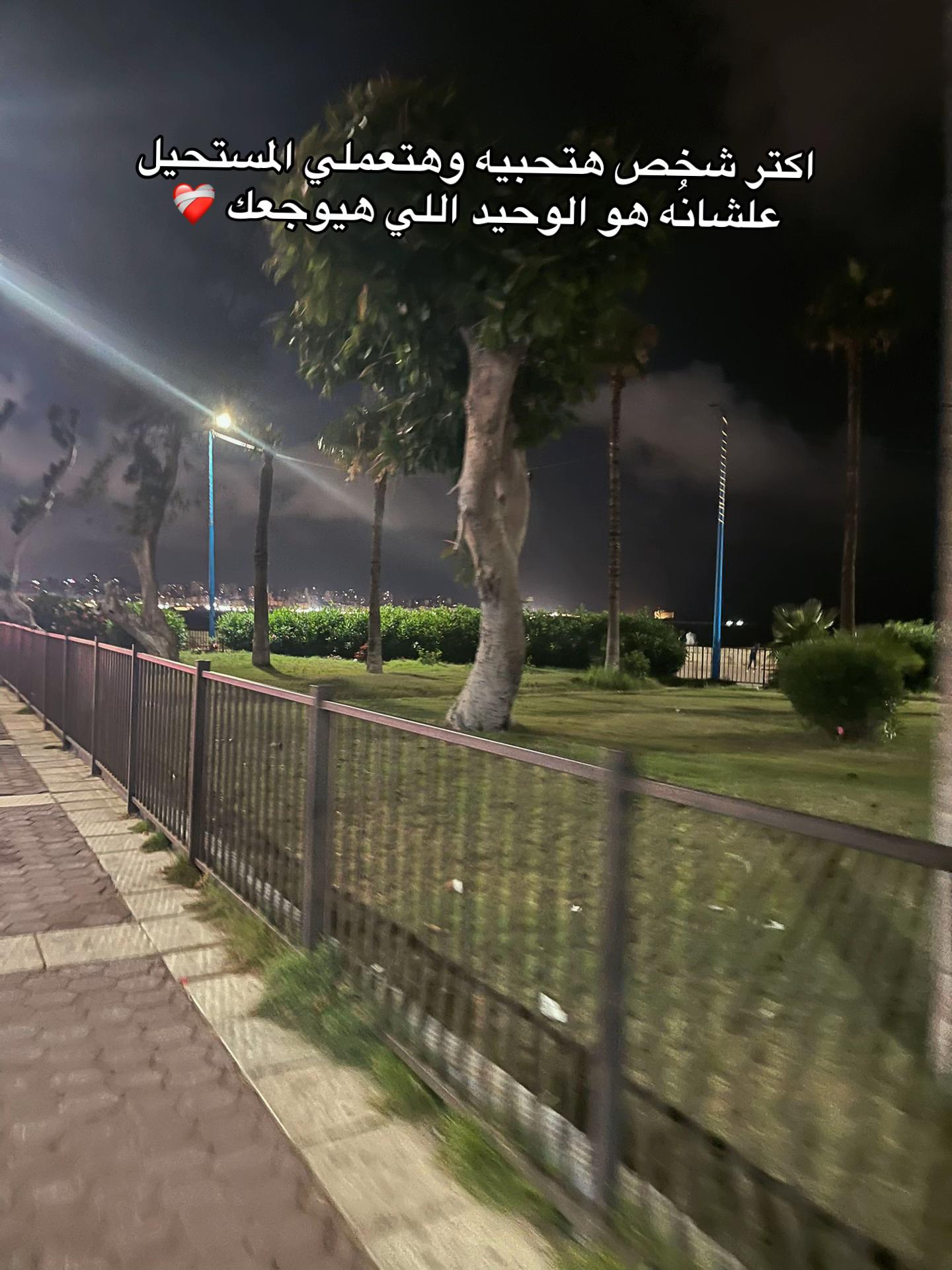 @loza_adel