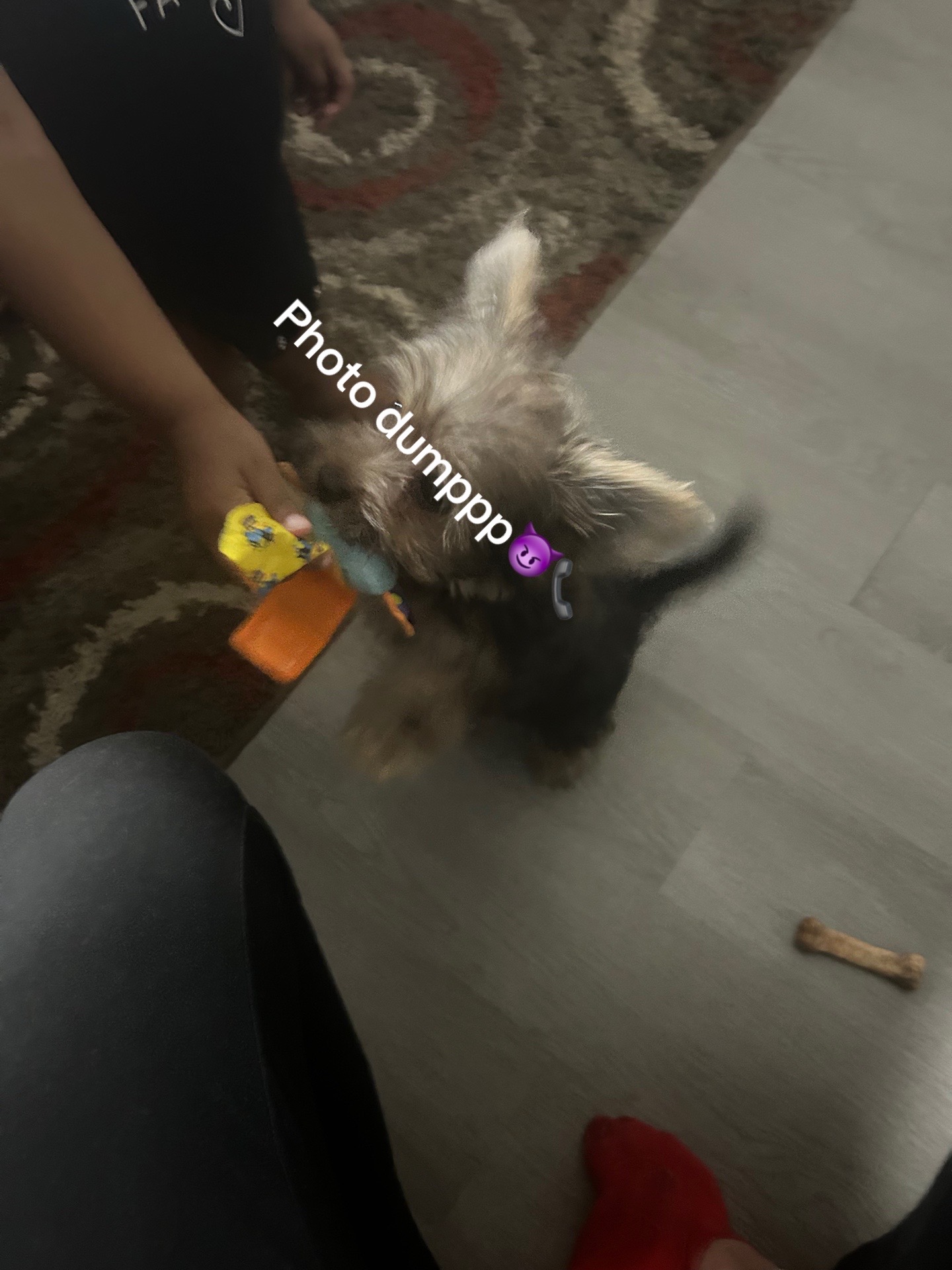 @DEV SPOKY愛愛