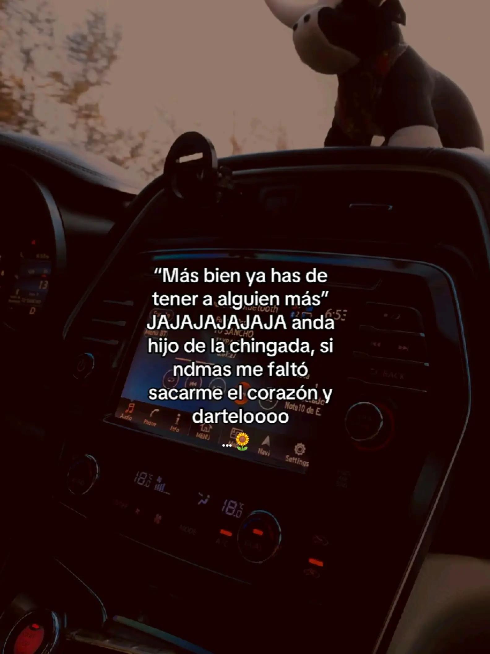@🌻 Nalle 🌻