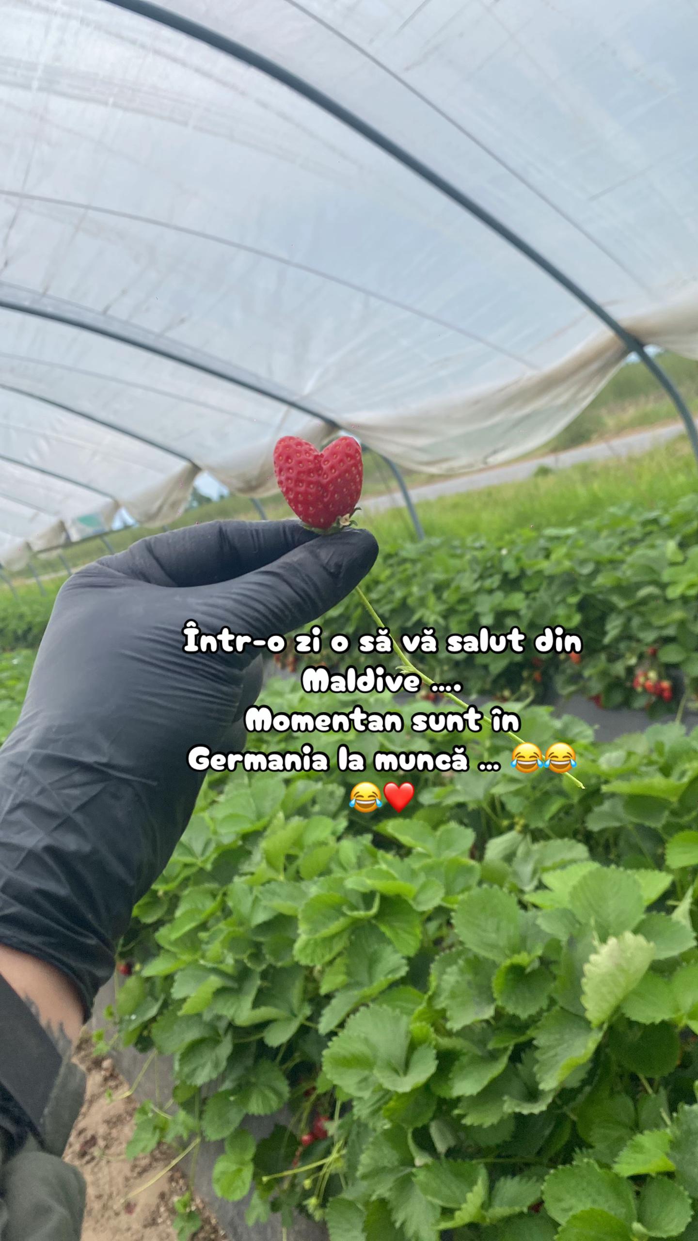 @🧸 bubu 🧸