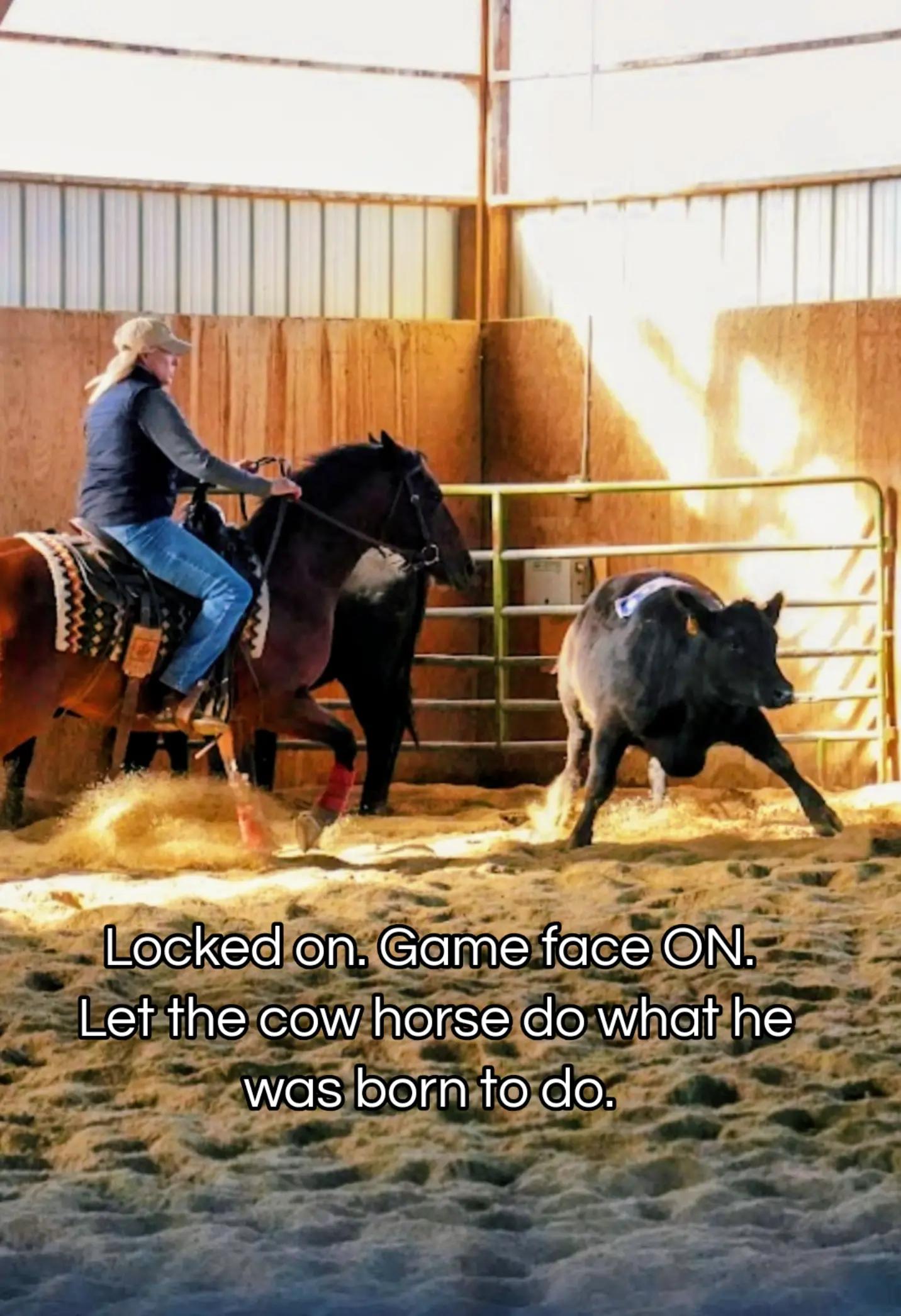 @🐴 ColdMountainRanch 🏇