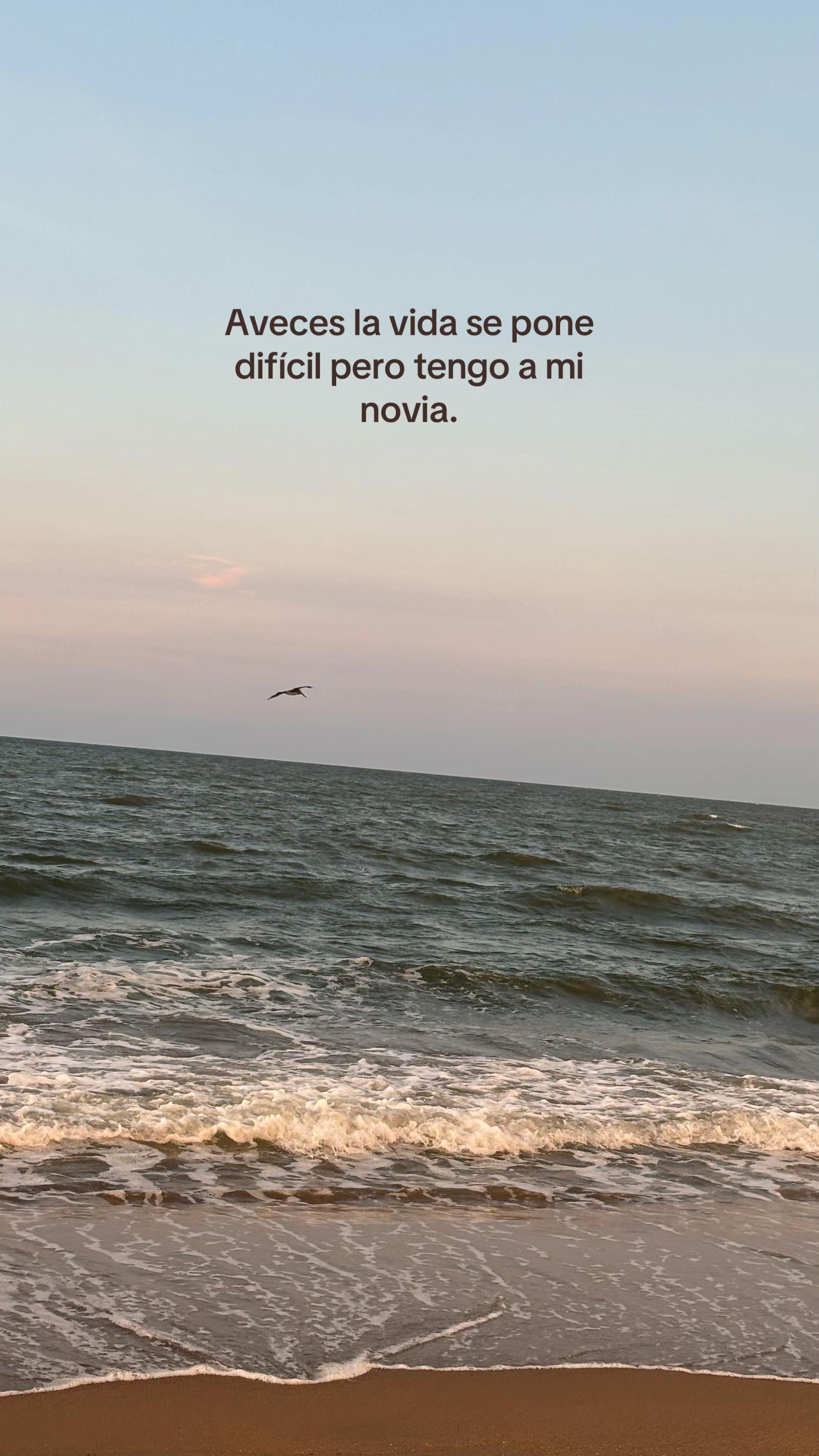 @ale_rcrdz