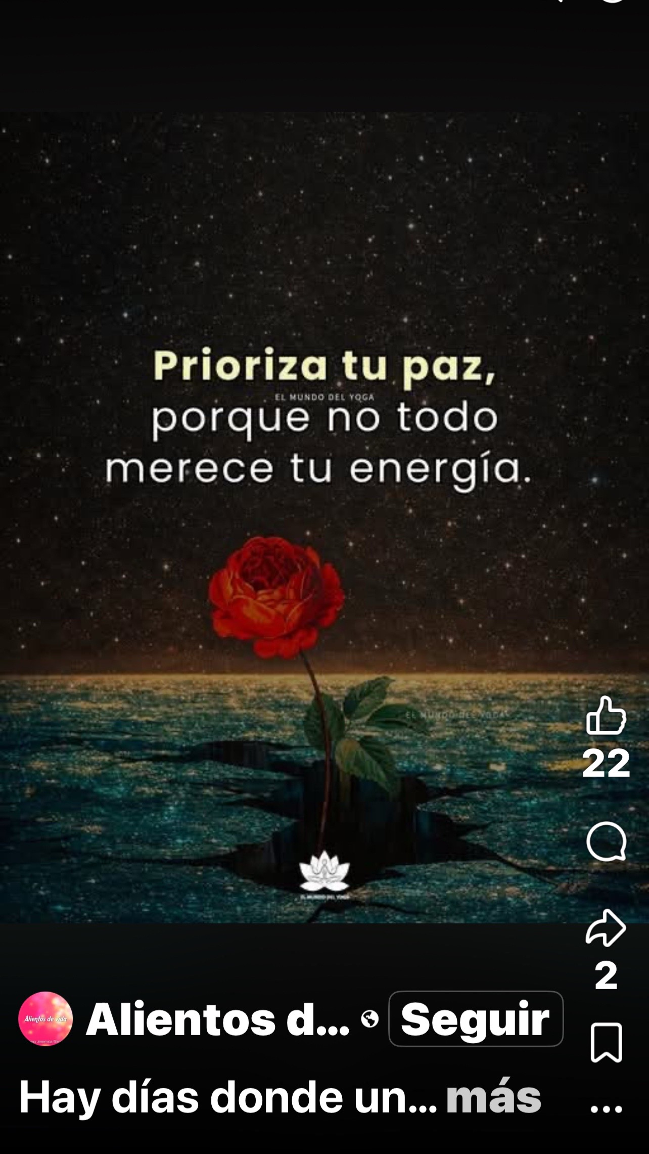 @Monica Montano