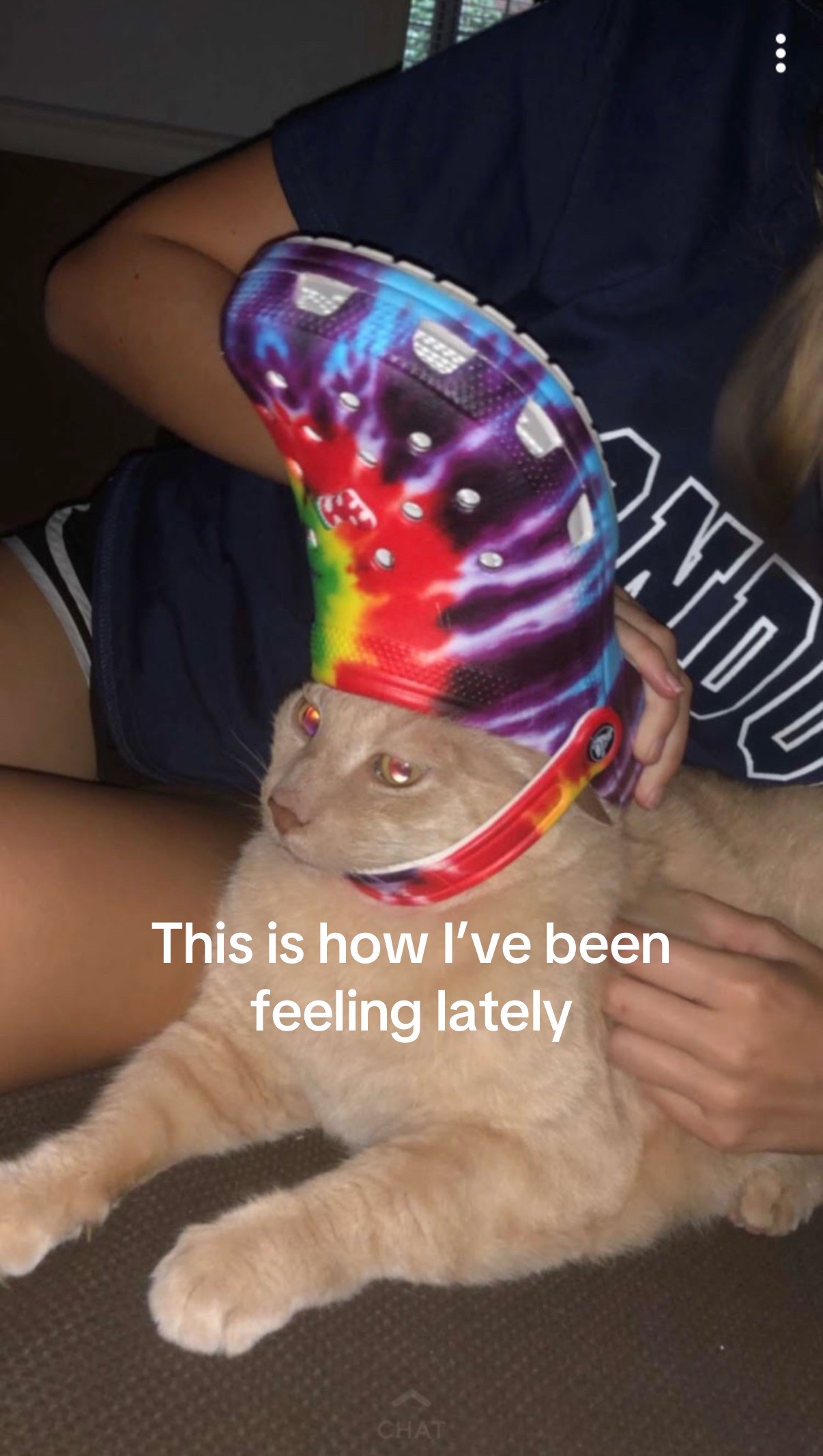 @🥭