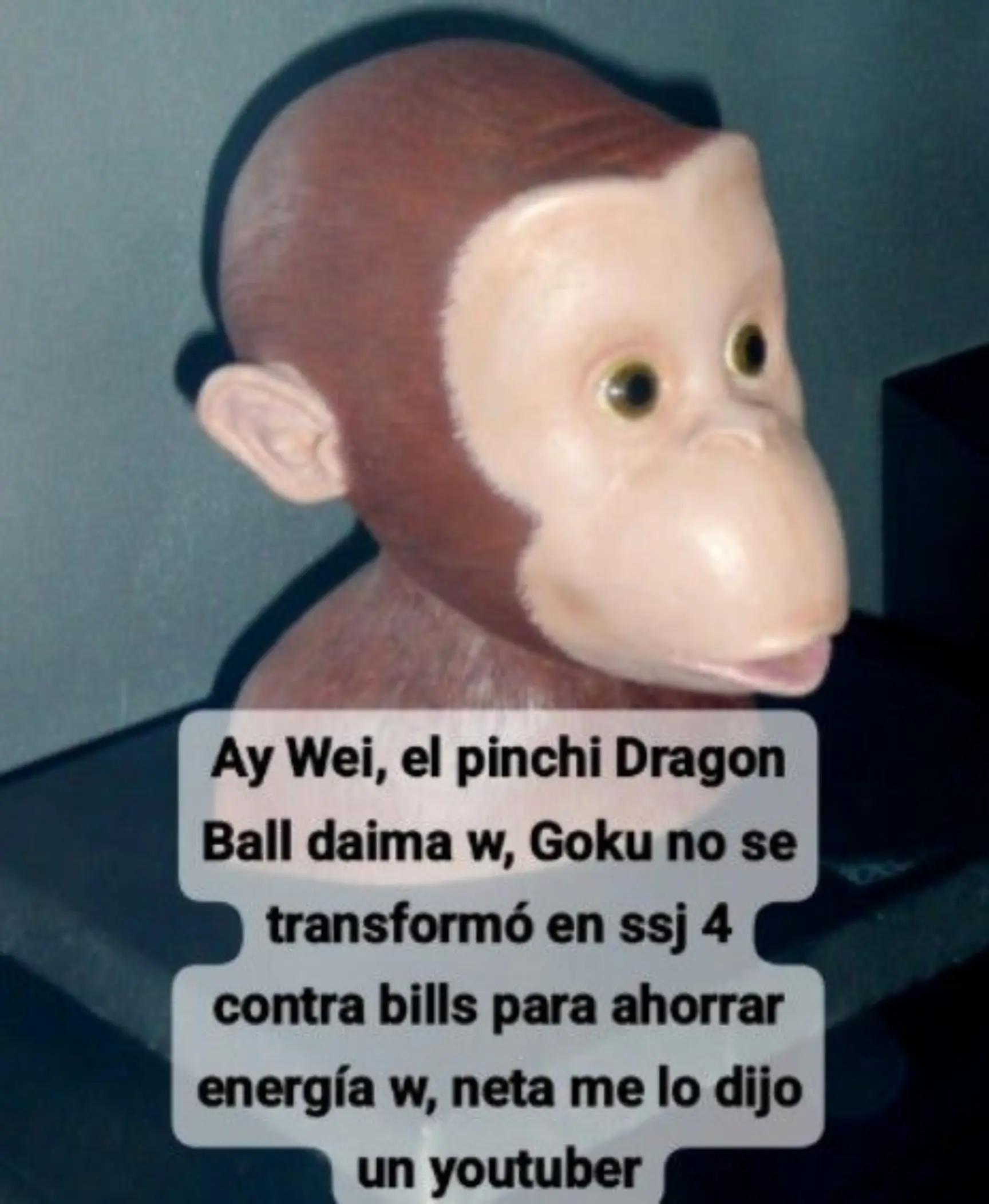 @Samm̶e̶l̶s̶z̶