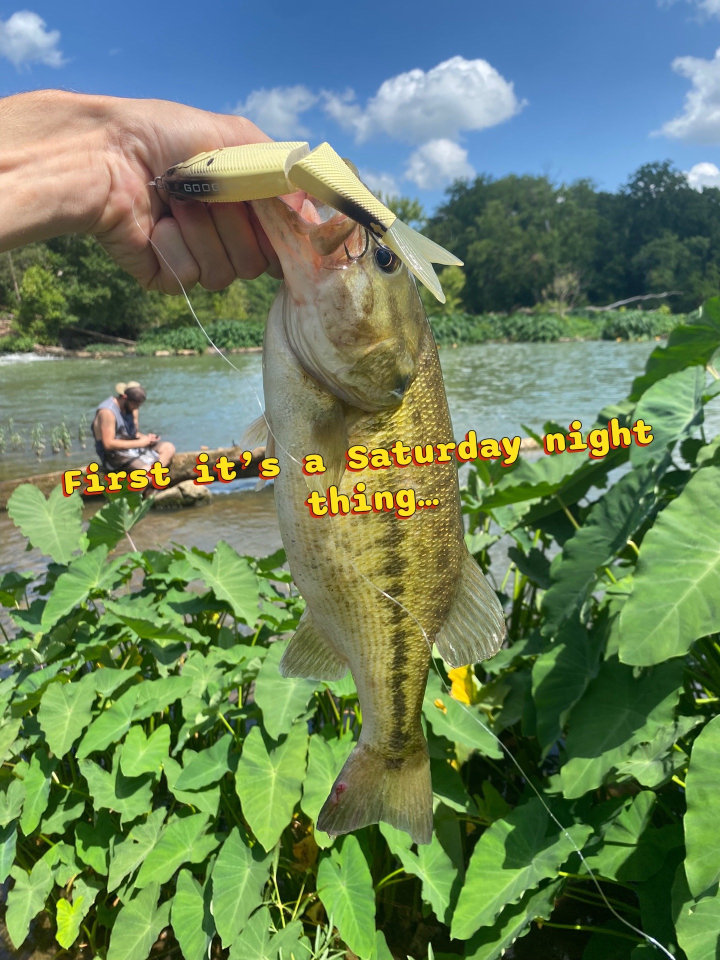 @wood.fishing