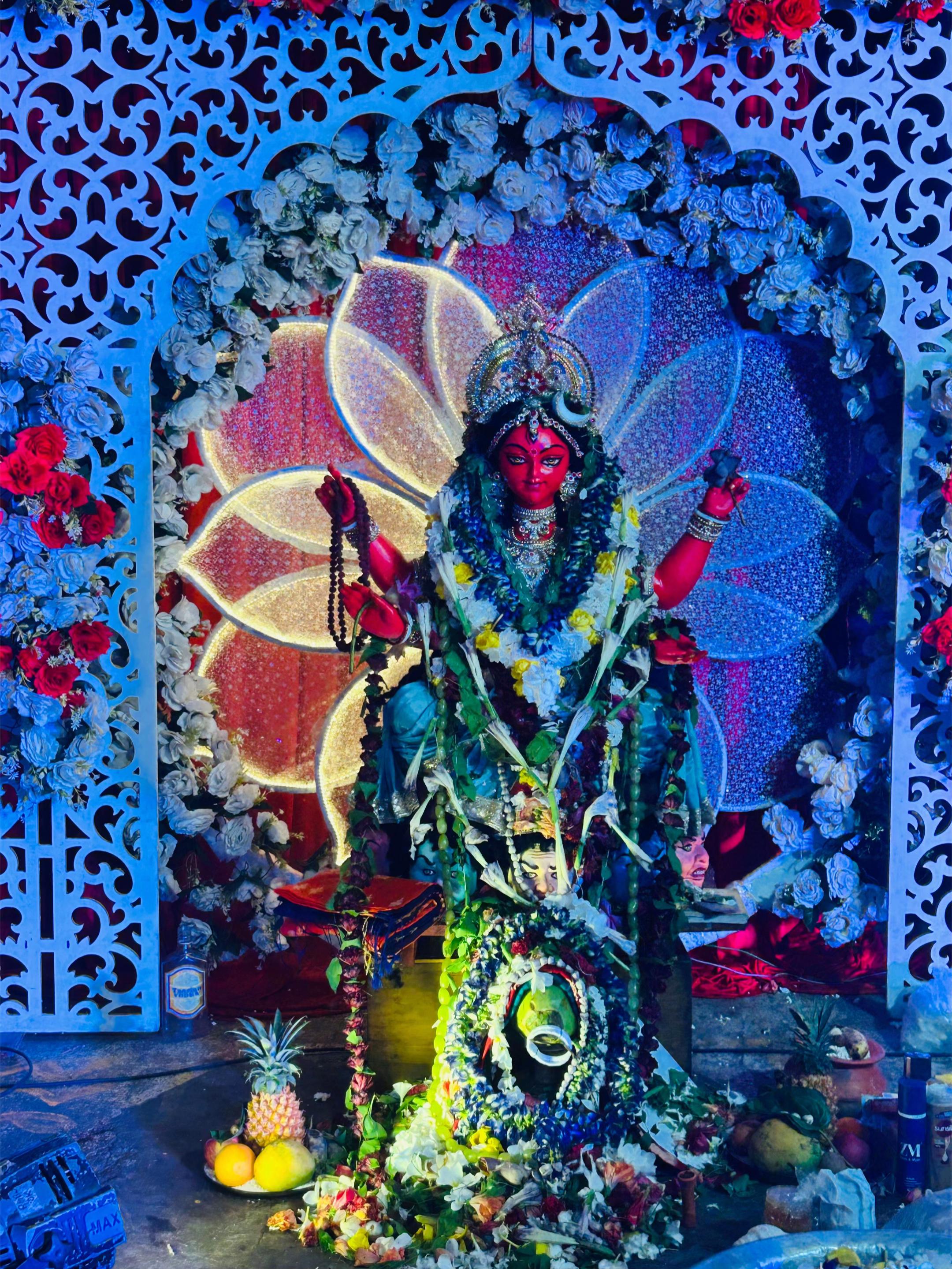 @Bijoy Poddar