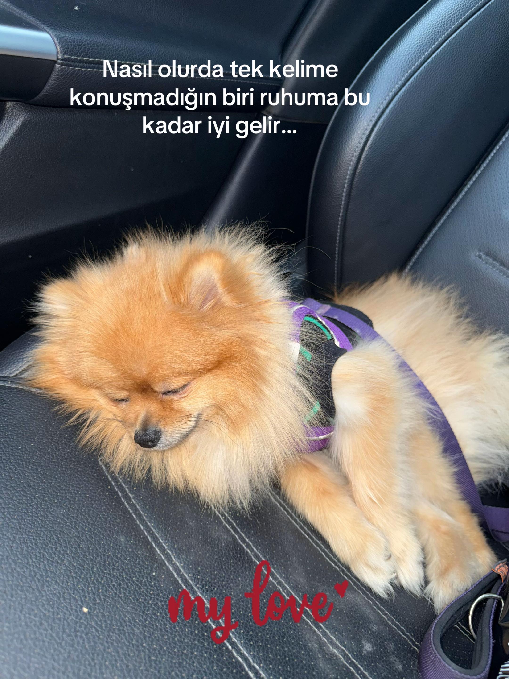 @HİLAL🌙