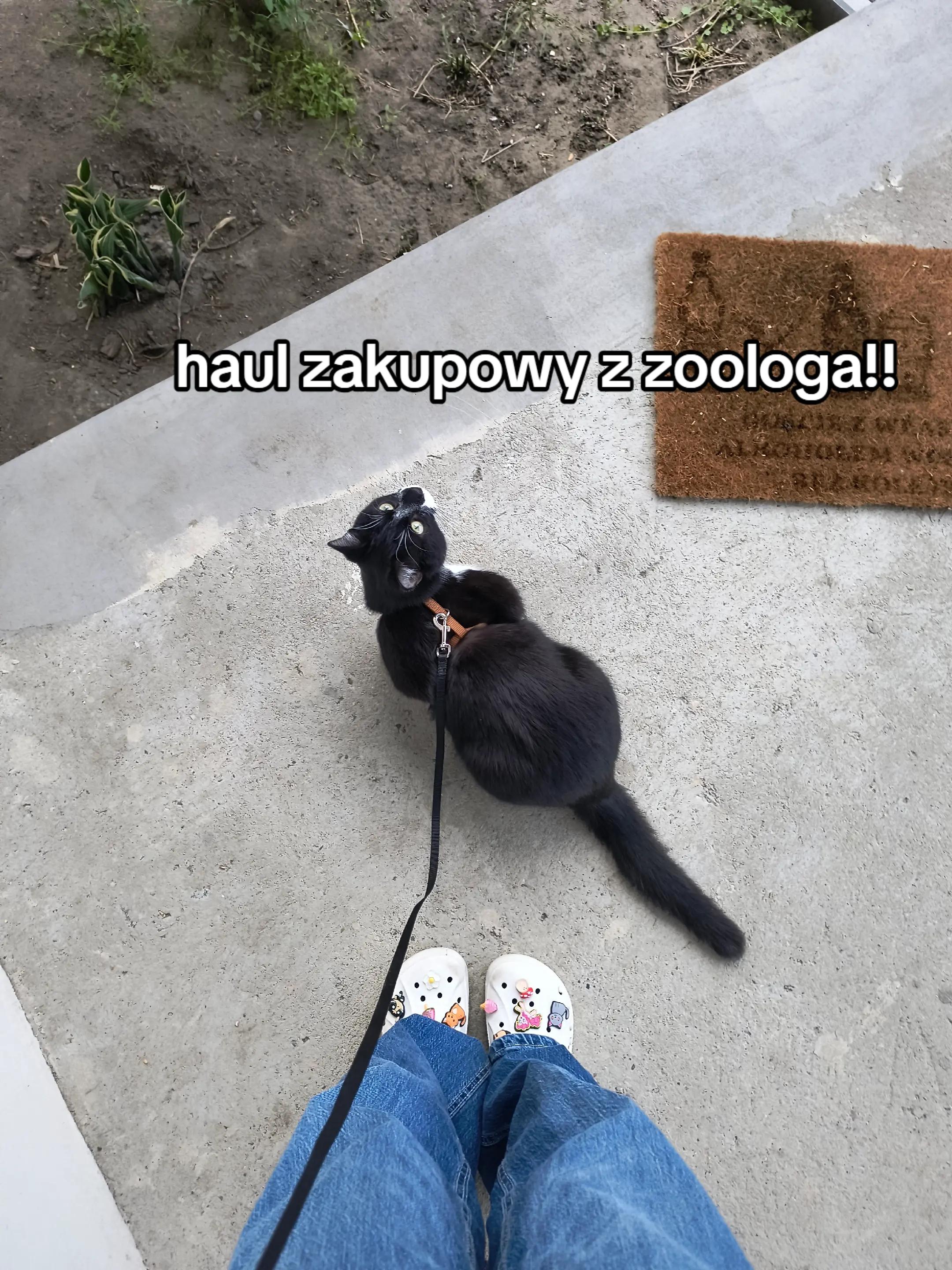 @🍓🐈&zwj;⬛𝐋𝐮𝐜𝐞𝐤/𝟏,𝟎𝐤🐈&zwj;⬛🍓