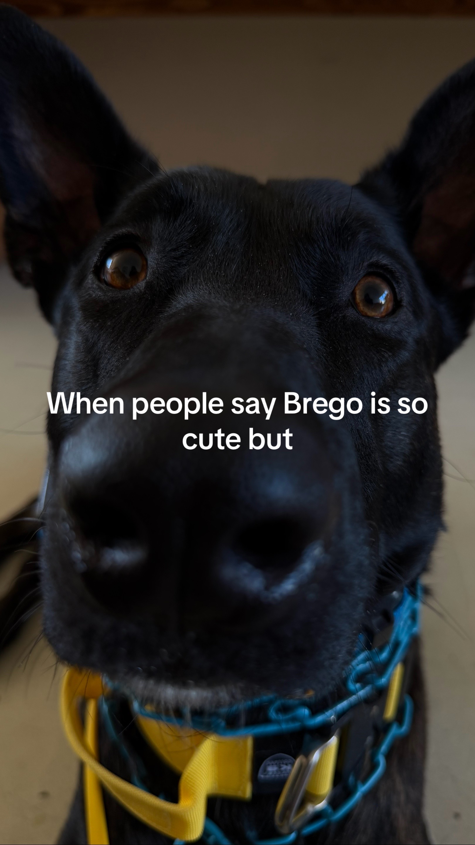 @Ava, Brego & Talia