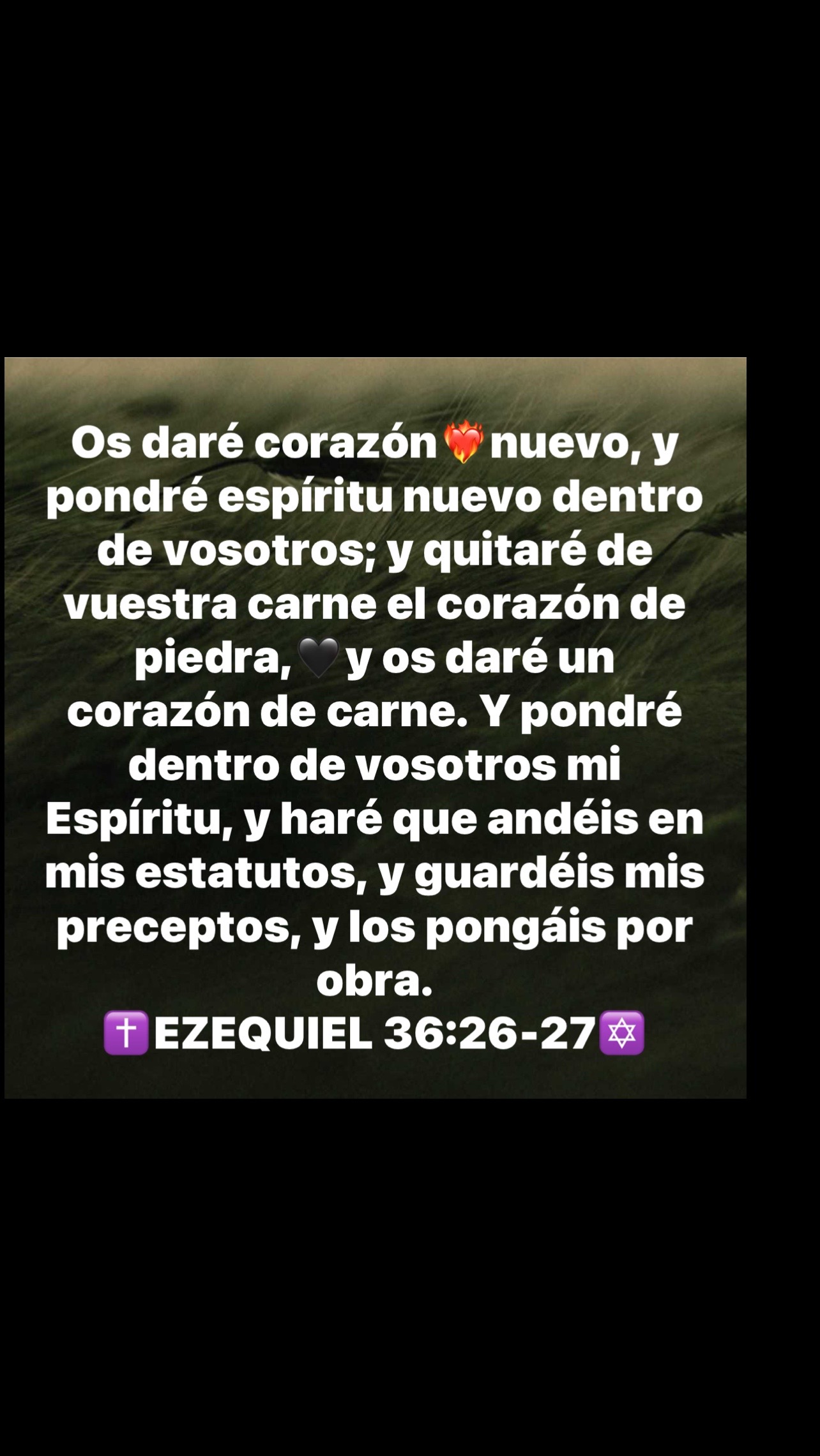 @Ministerio Luz a las Naciones