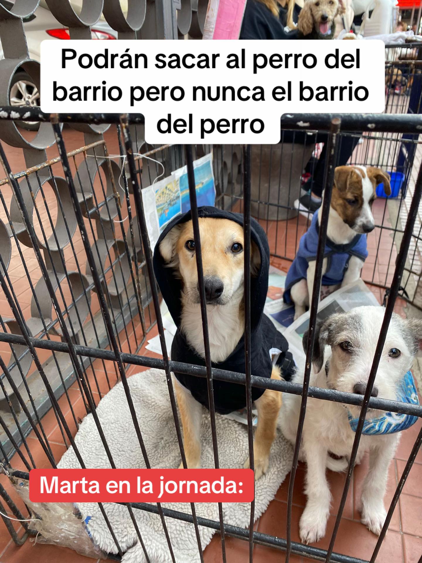 @Ayudanos a Ayudar