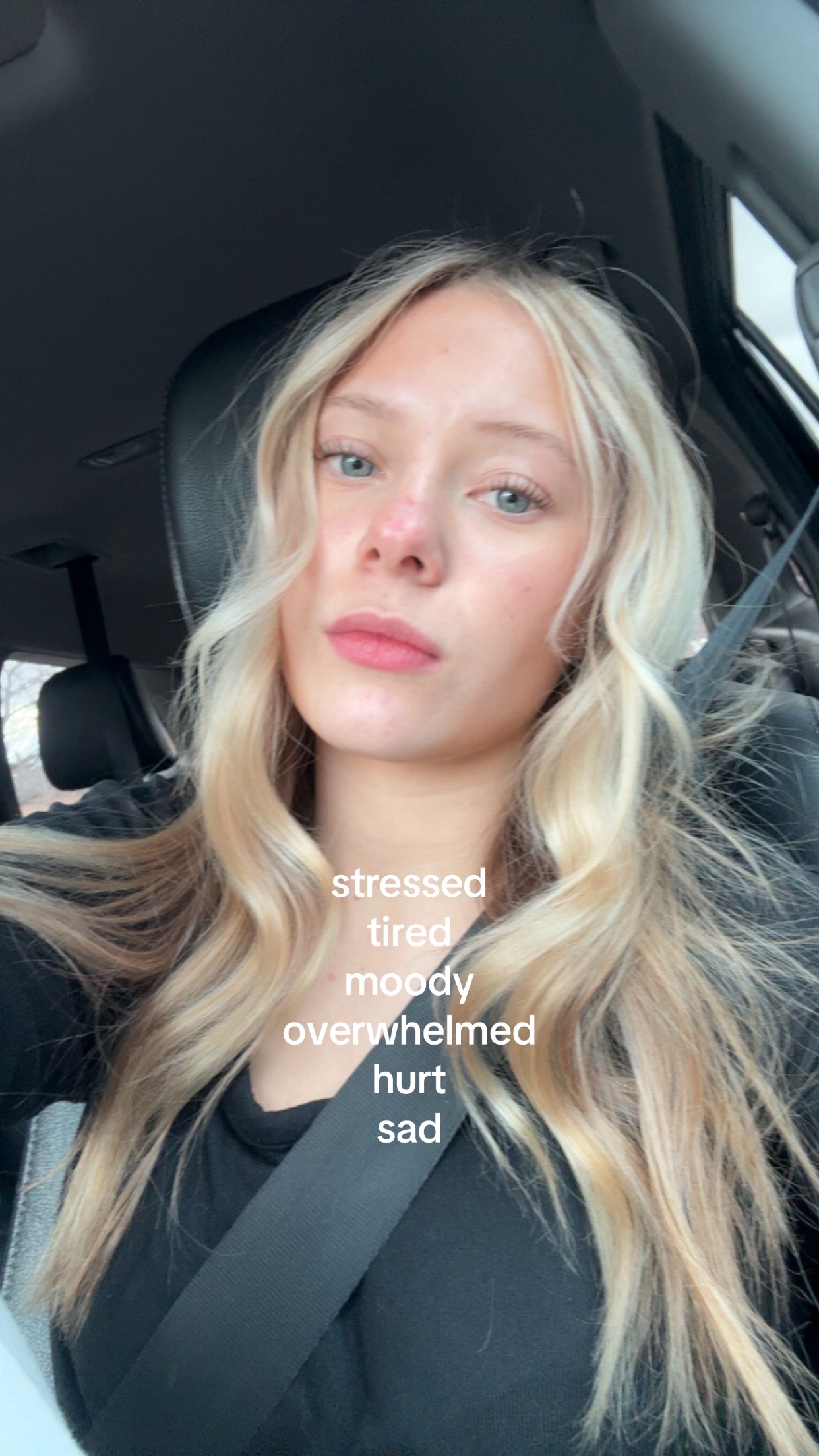 @stellabella