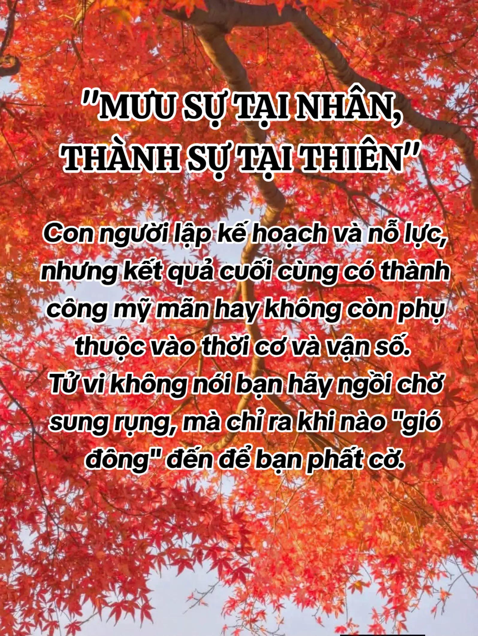 @HẢI TRUNG KIM.