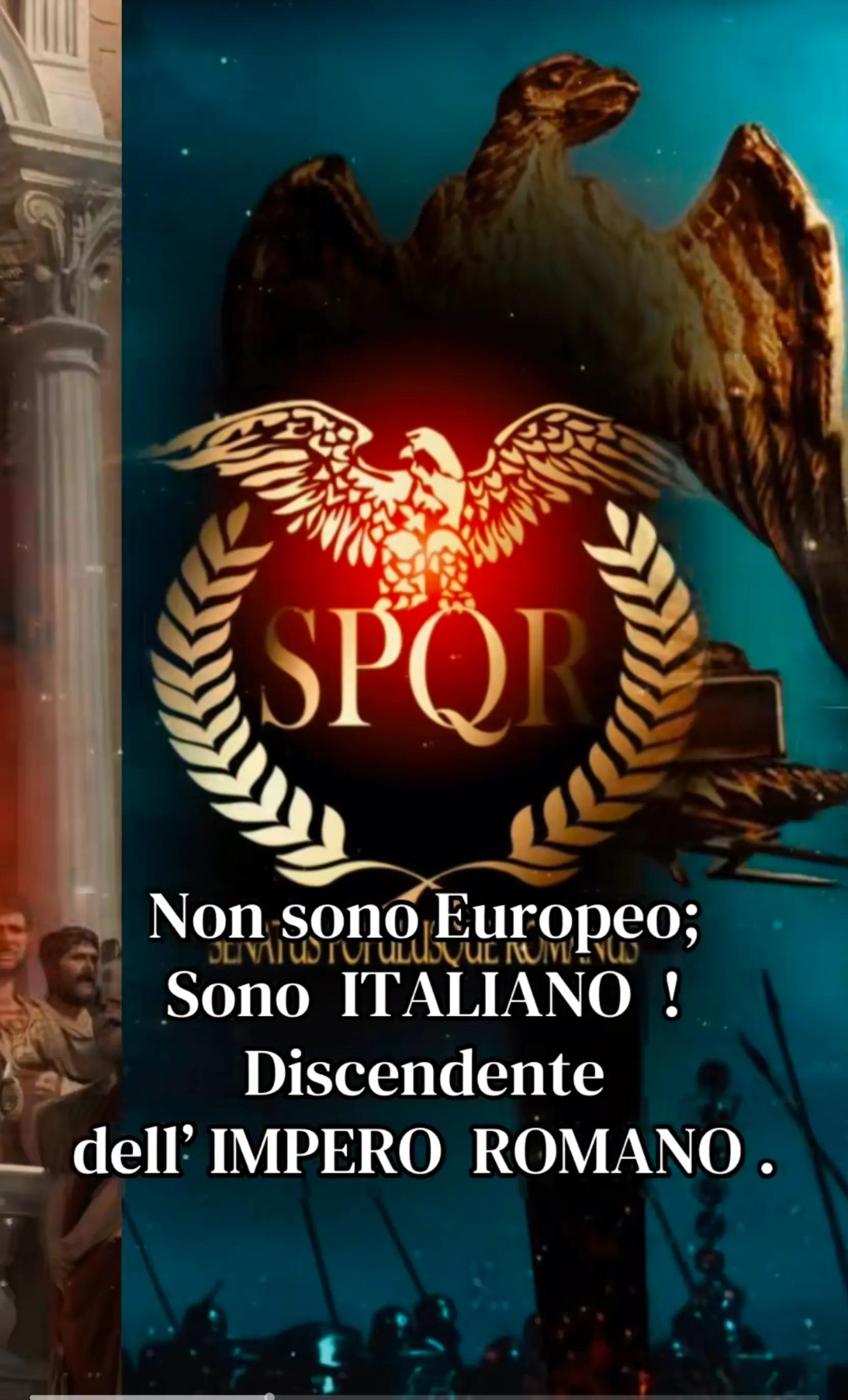 @Simone legnante vfm