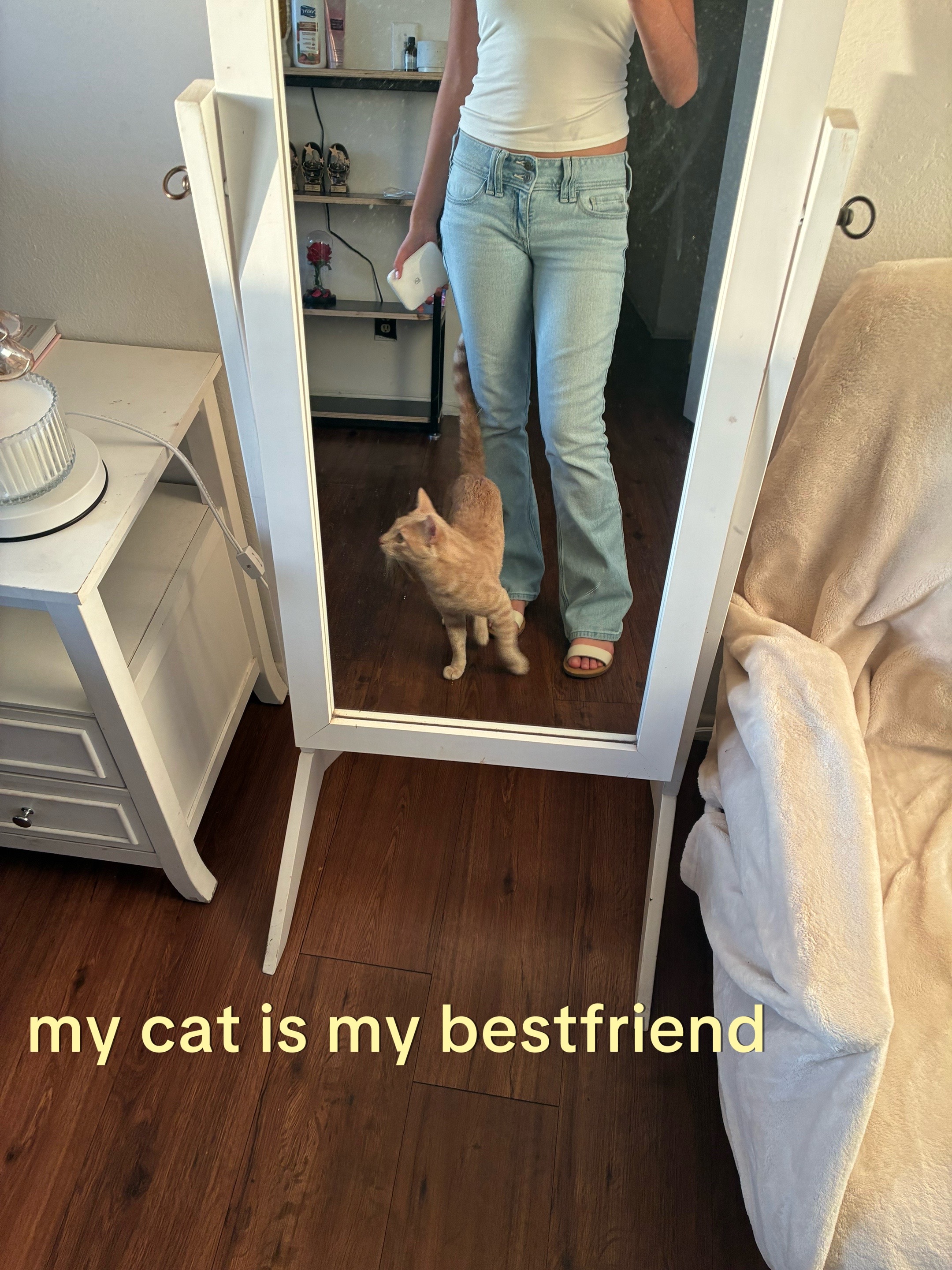 @🐾