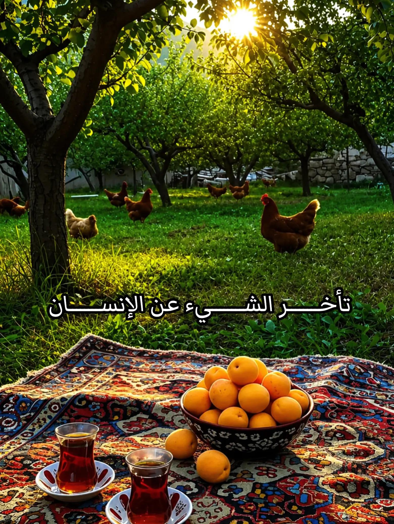 @𓆩 رفيـــــق الـــــــــدرب 𓆪