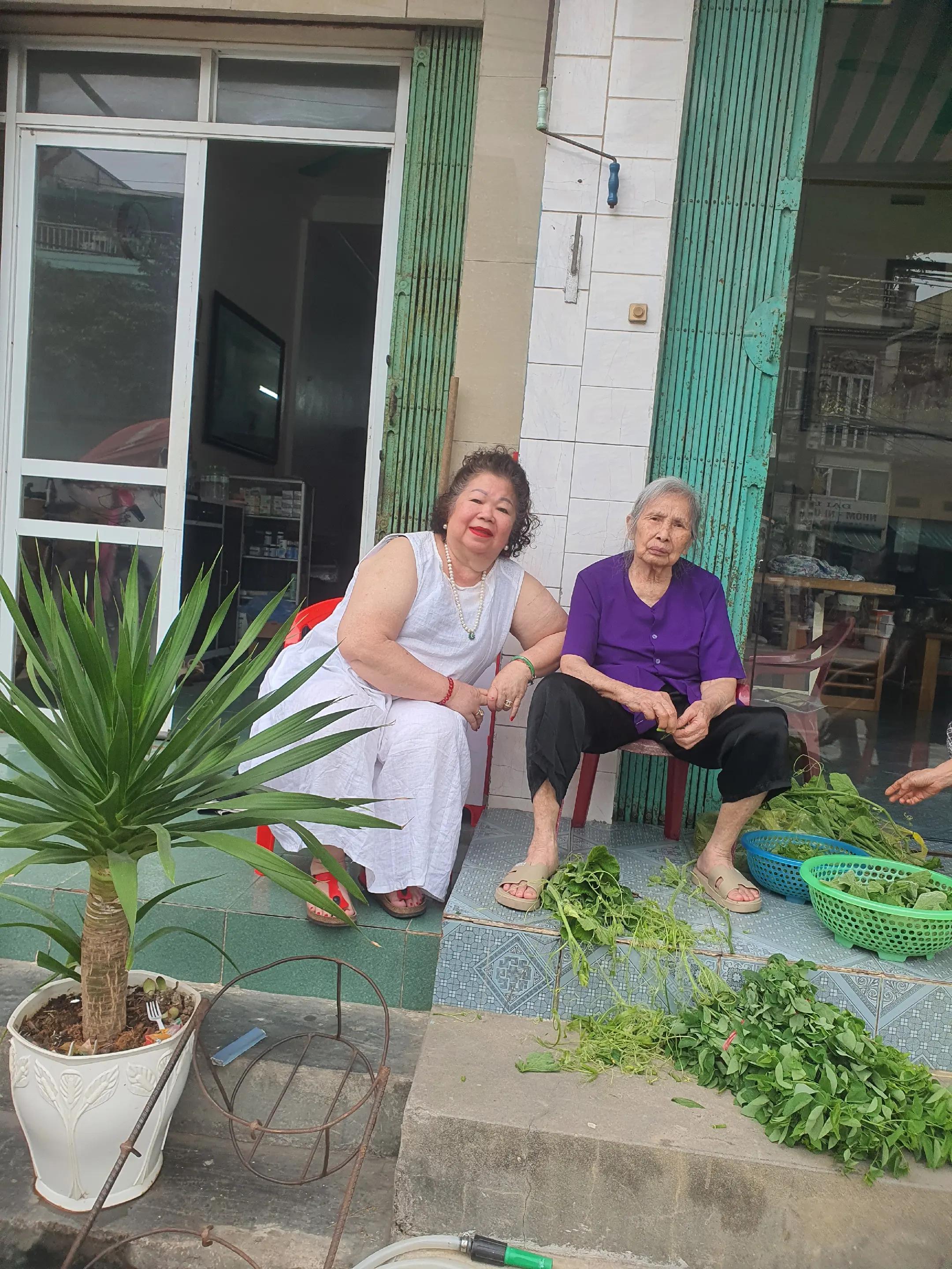 @Bạch yến ho&agrave;ng