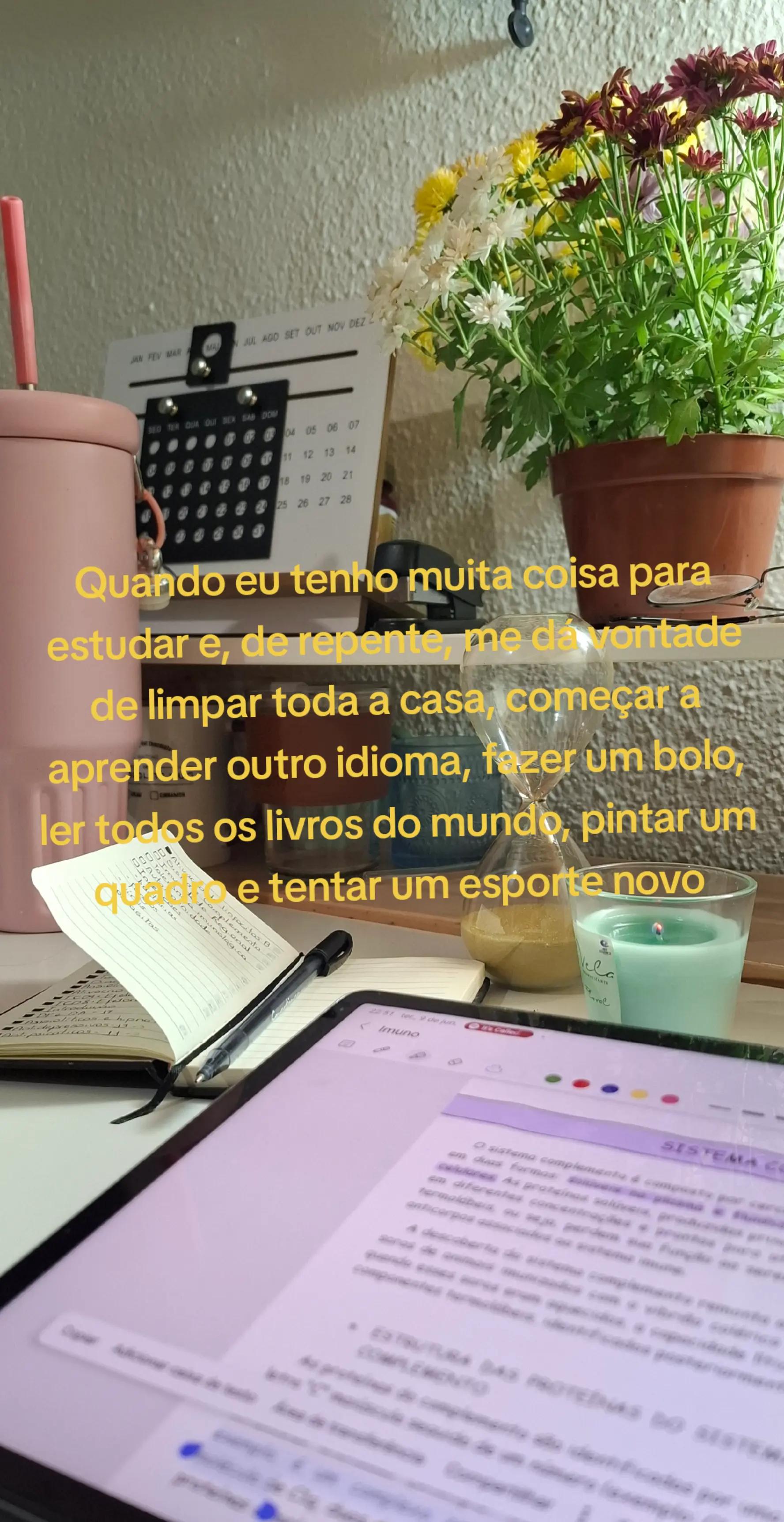 @Giovanna Mel