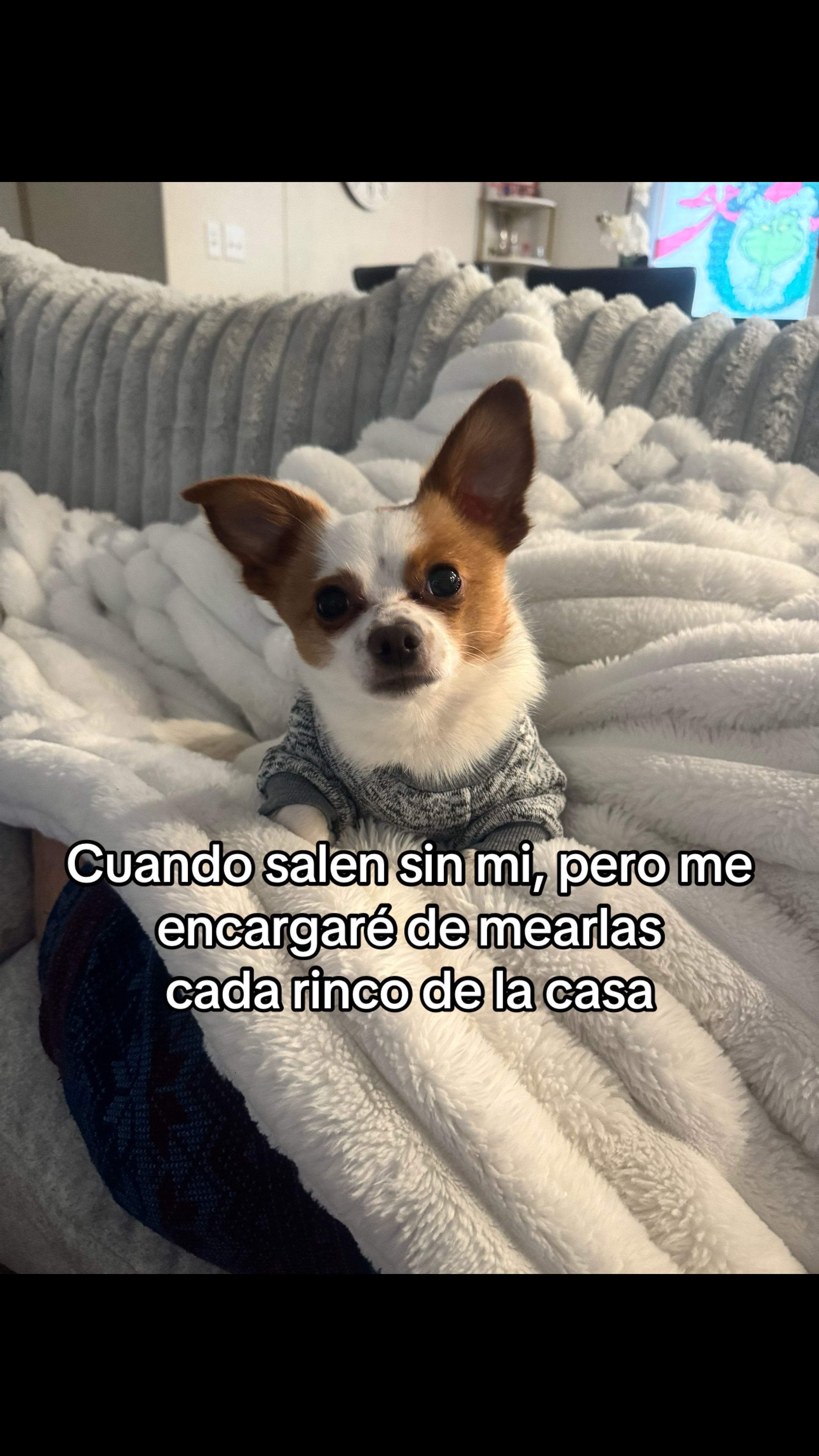 @Lucitania