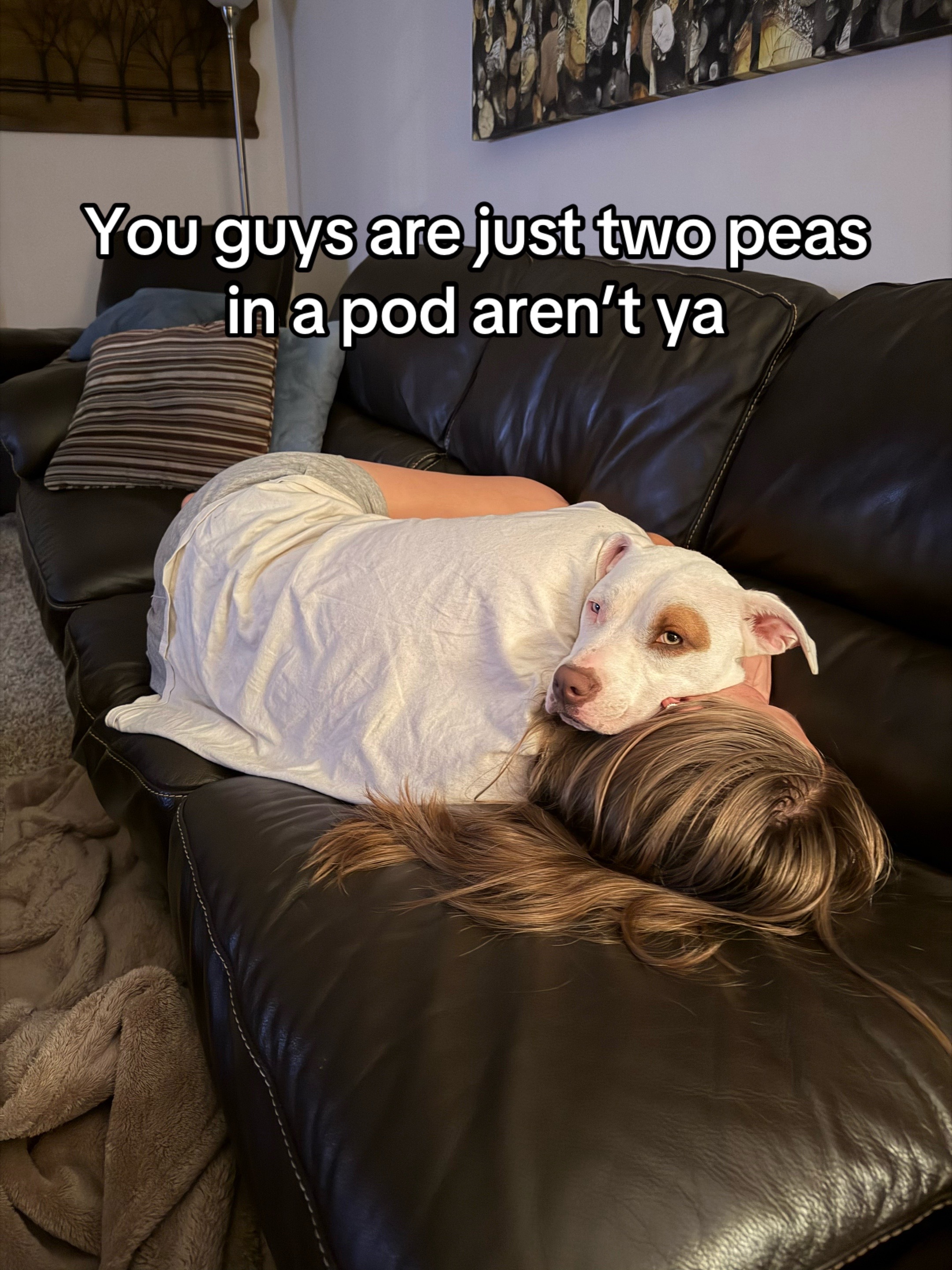 @han
