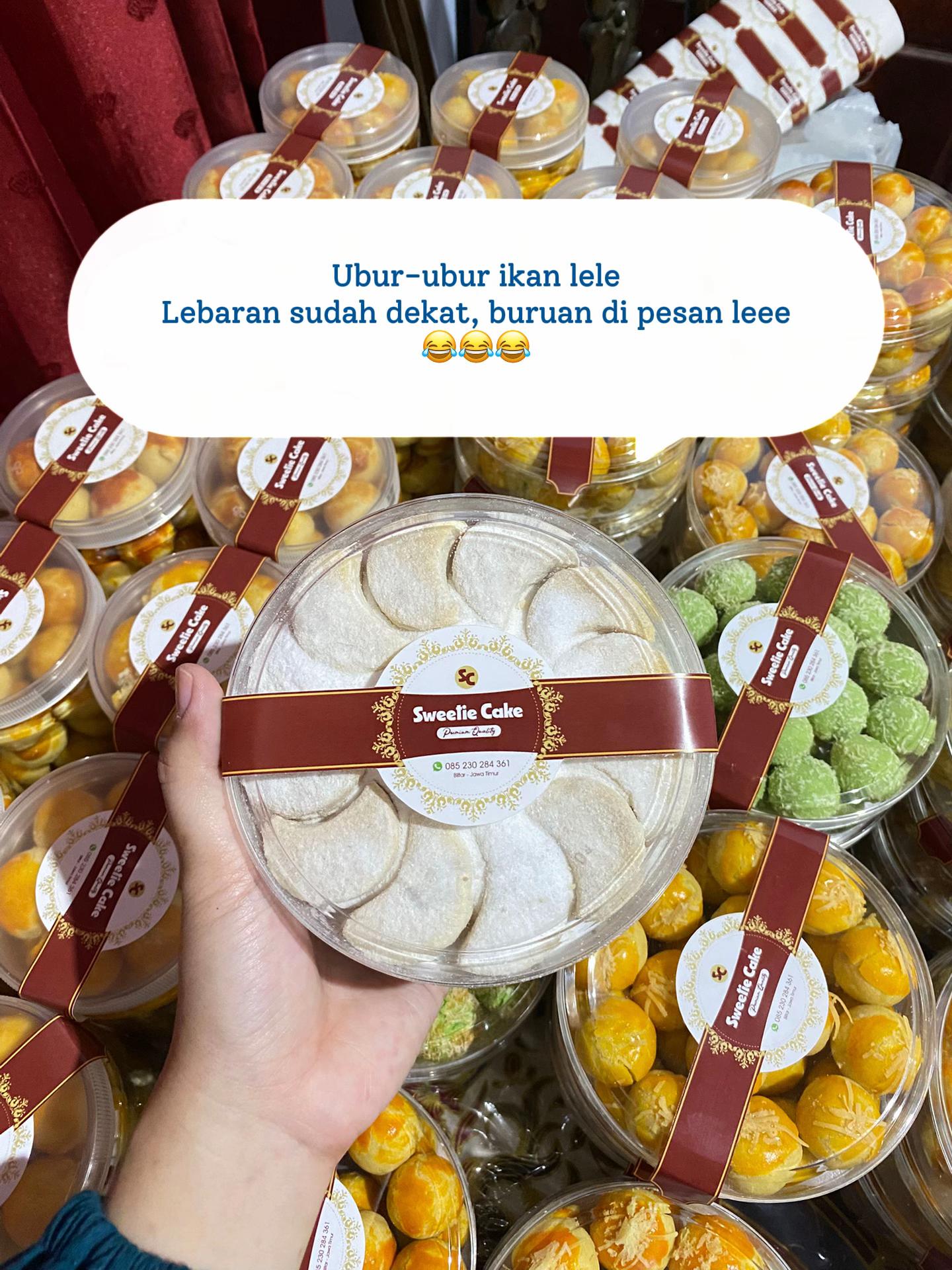 @SEWA LENSA APEXEL, KURSI LIPAT