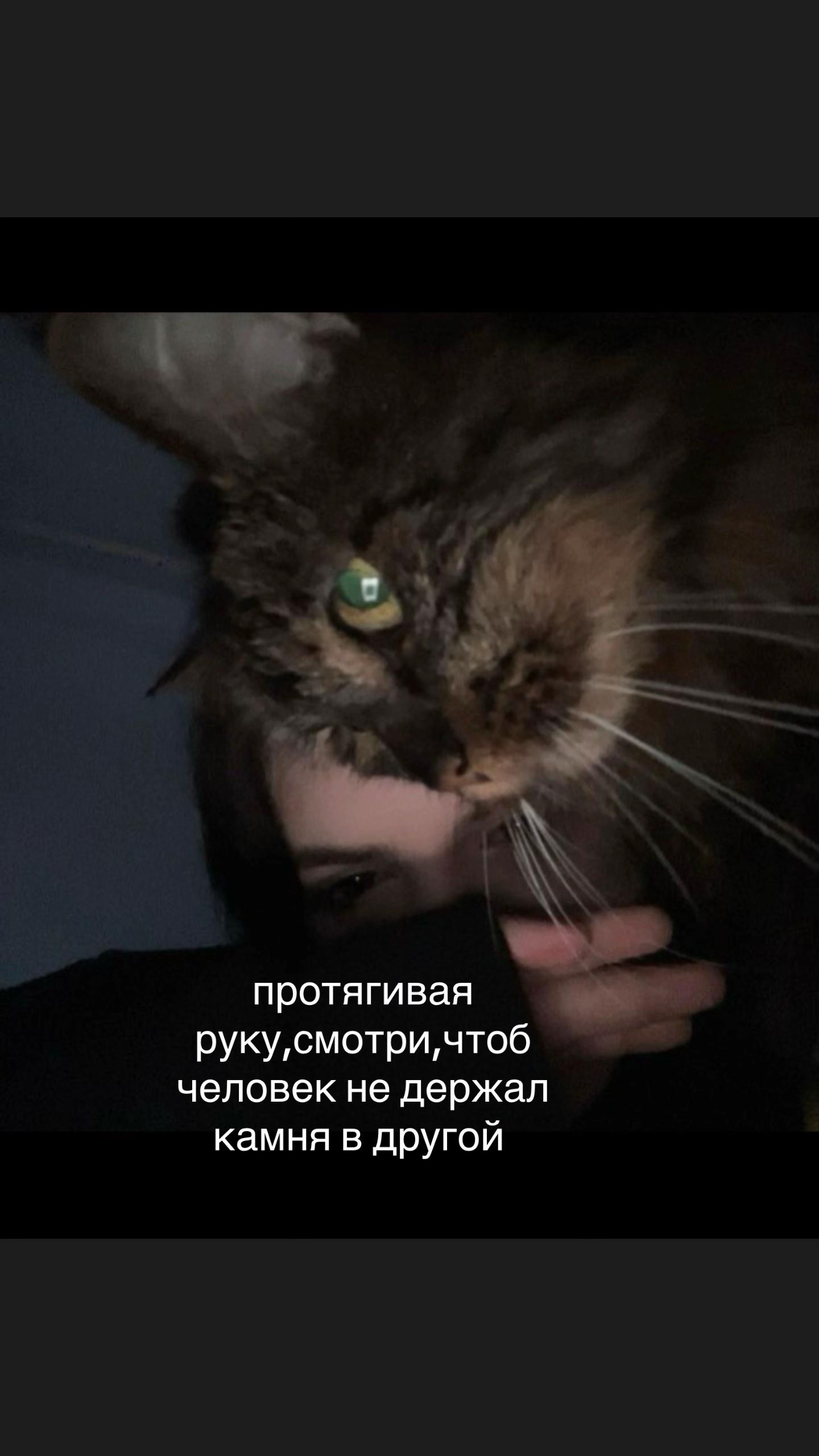@Killer_7776