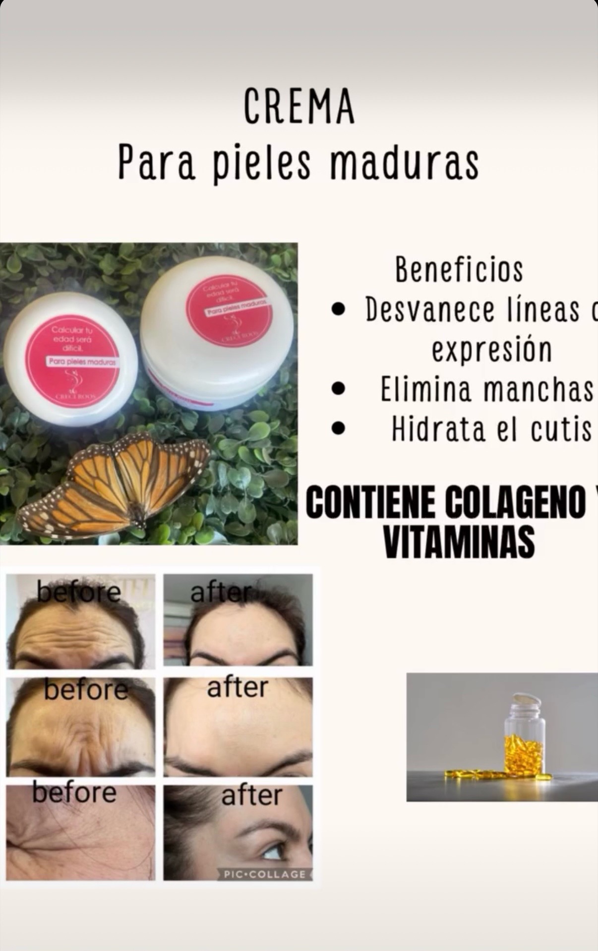 @🌷Caricia Bot&aacute;nica 🌷