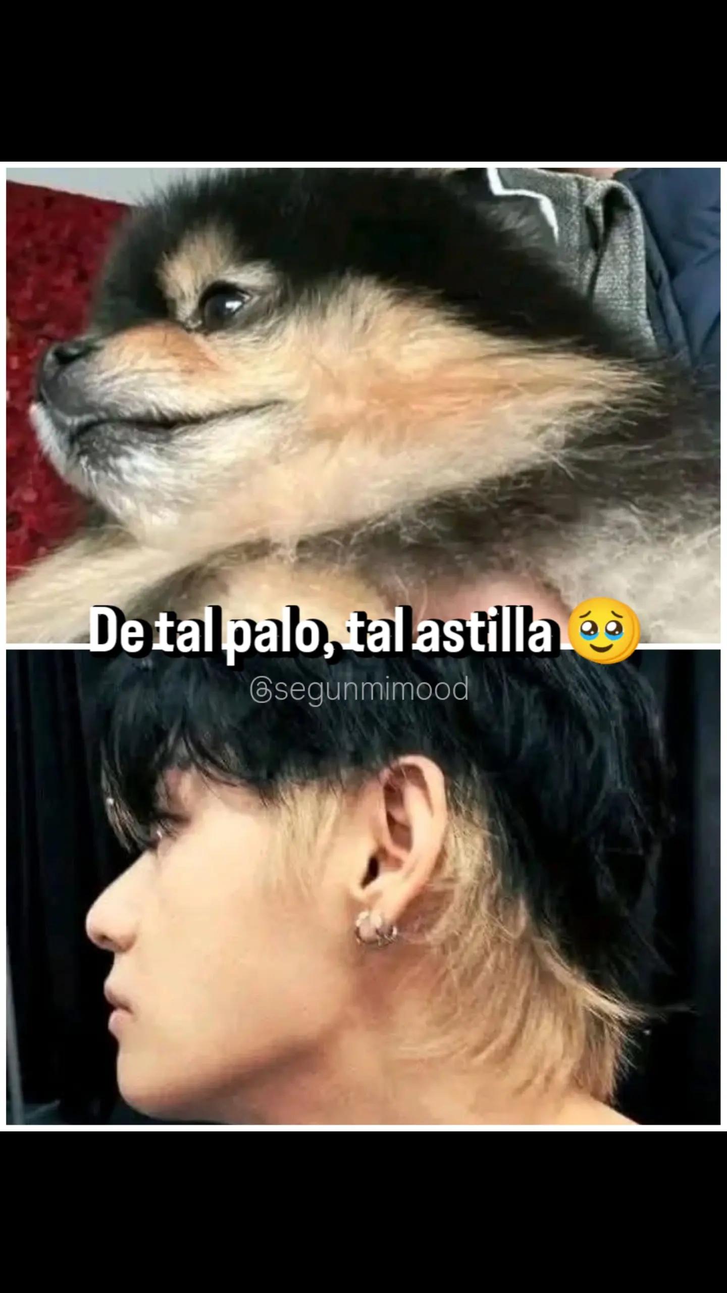 @Segunmimood