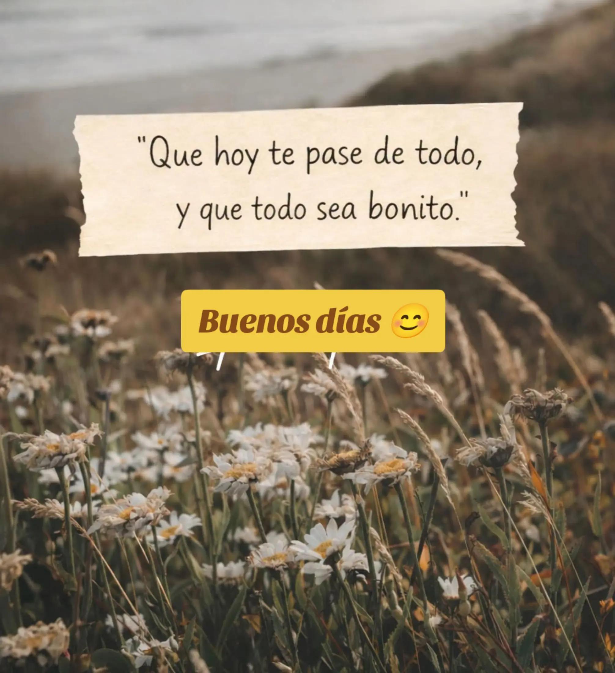 @alileiva ✨🌺🫀🧠🥂