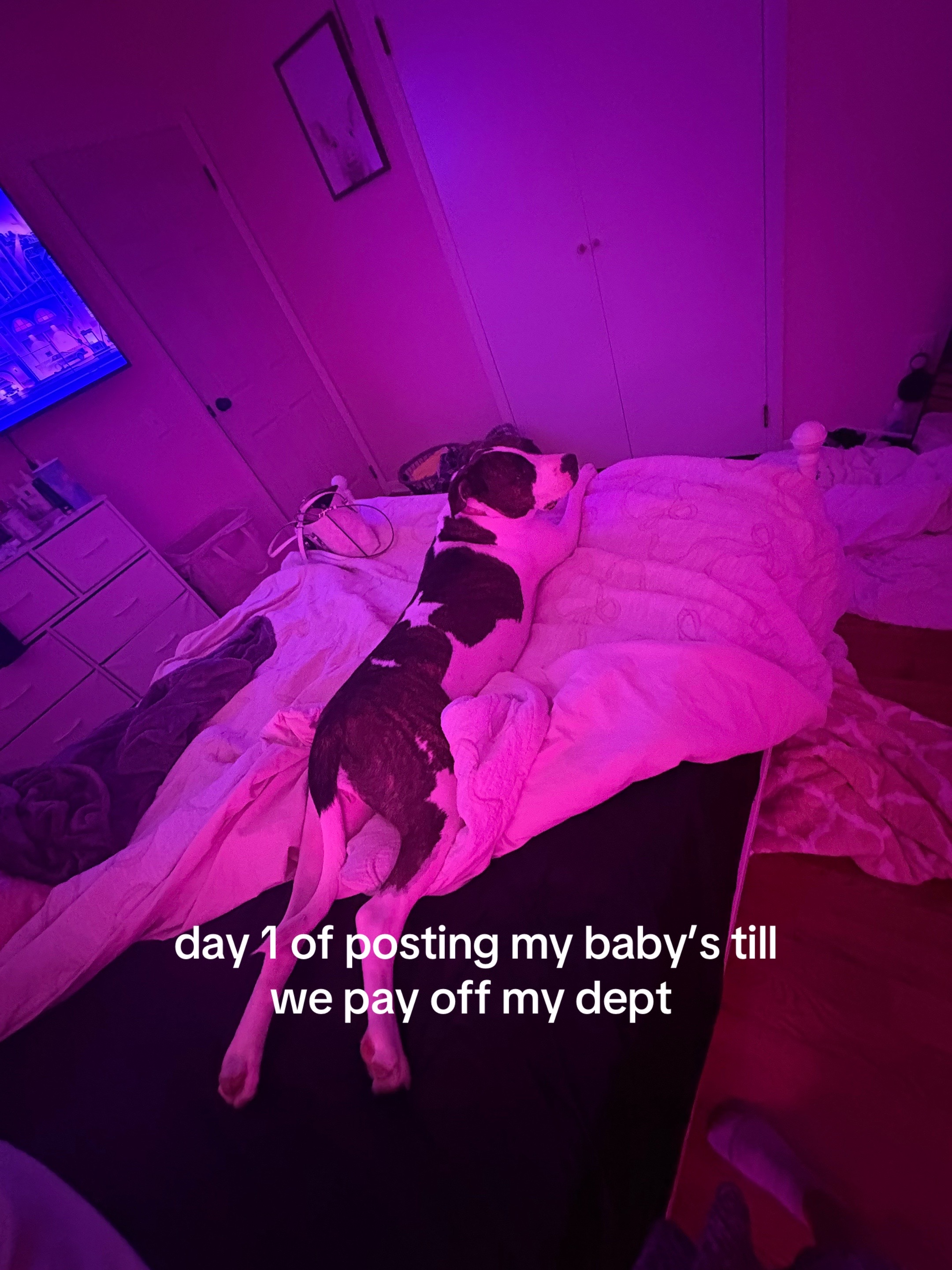 @erin