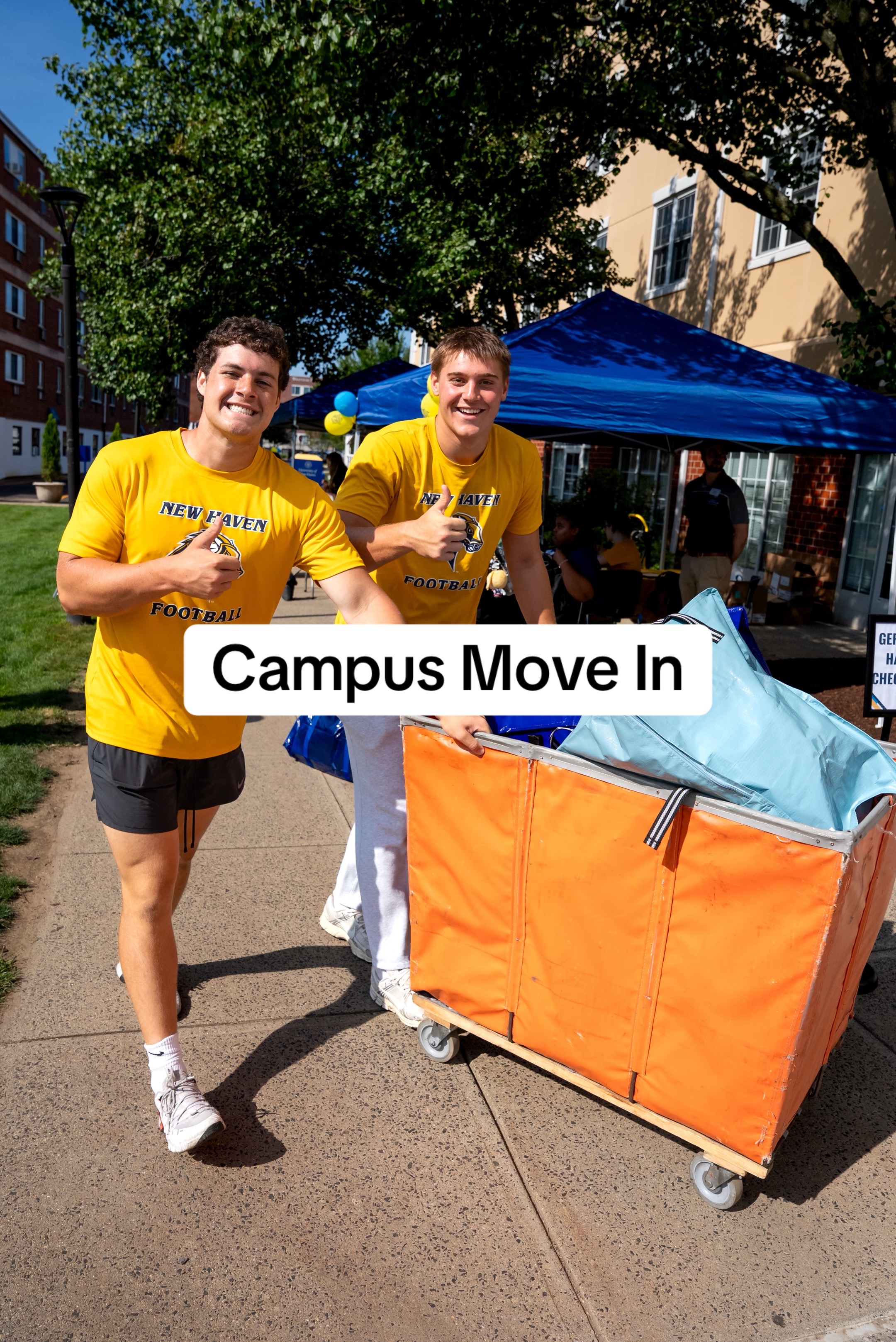 @University of New Haven