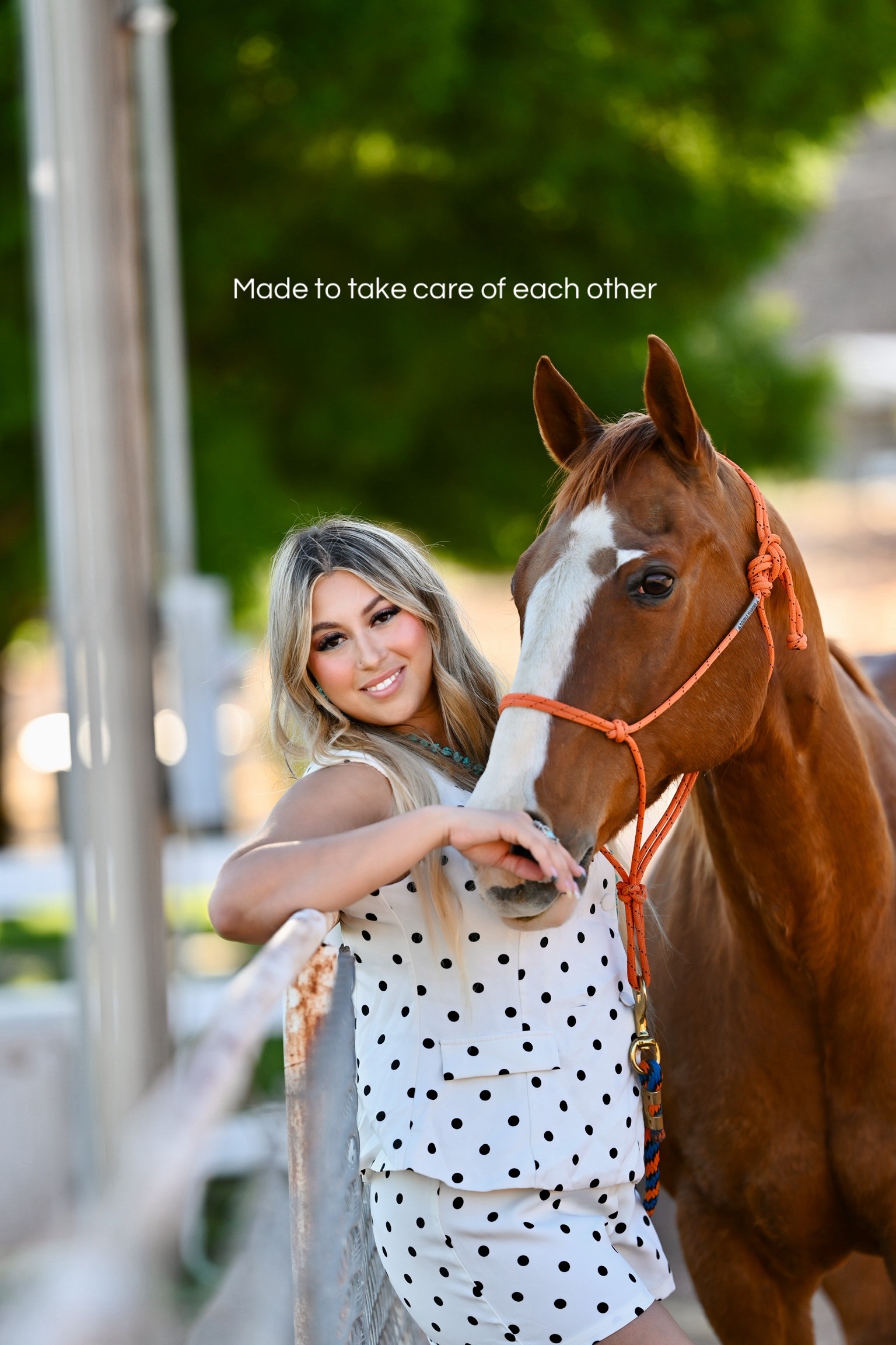 @UTAH WAXER Horses Life