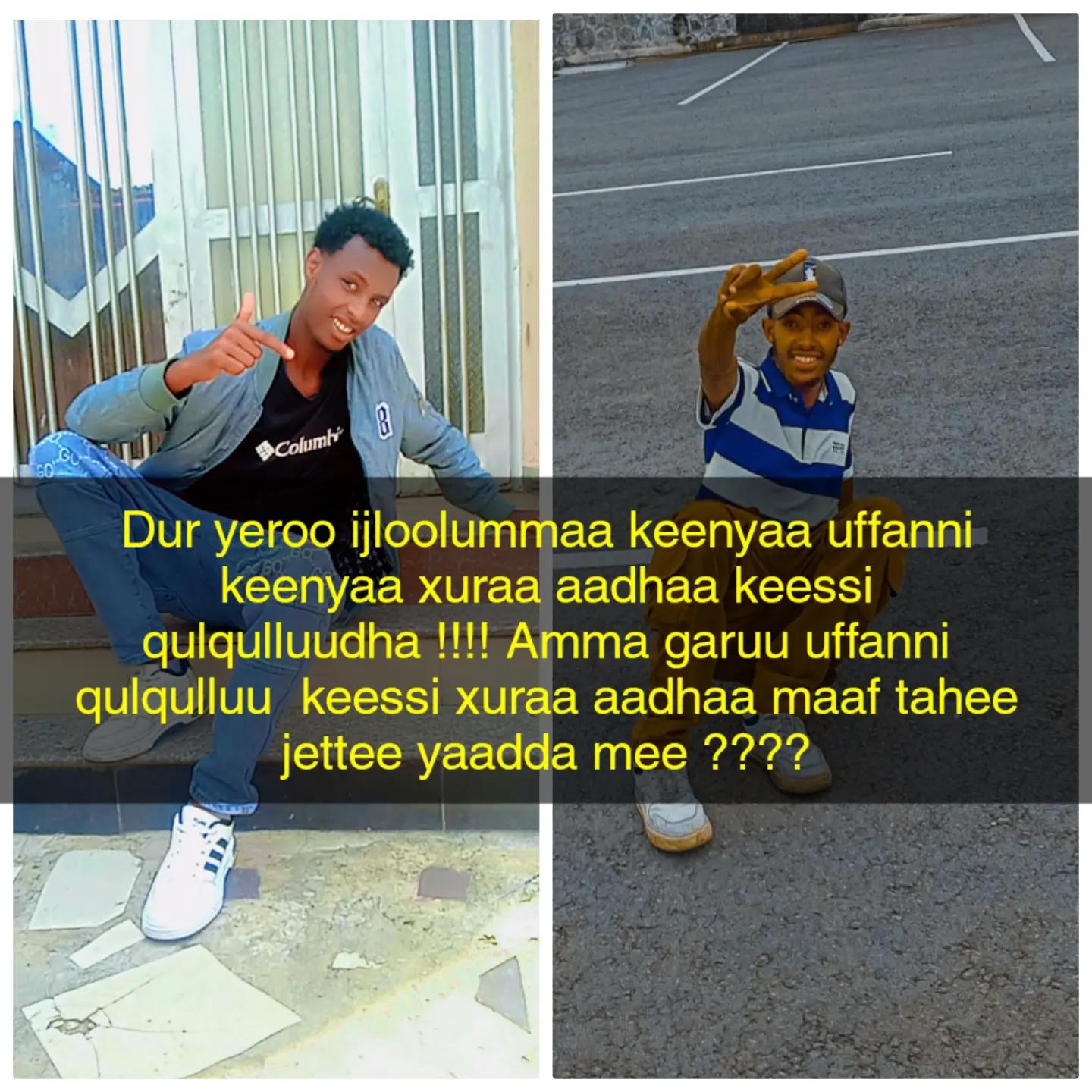 @Hasan aloo🫶