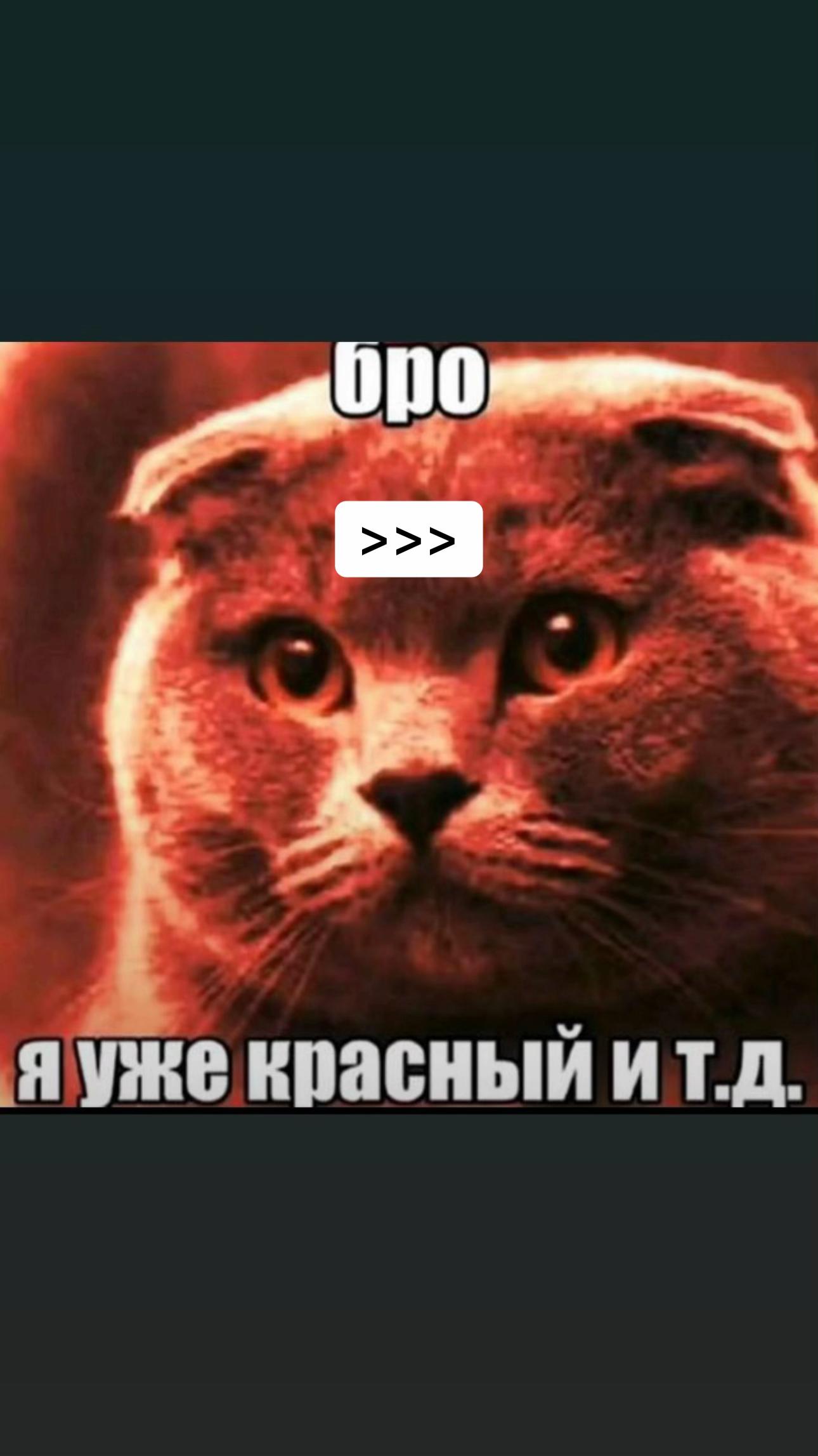 @топ1бистмастер своего зоопарка