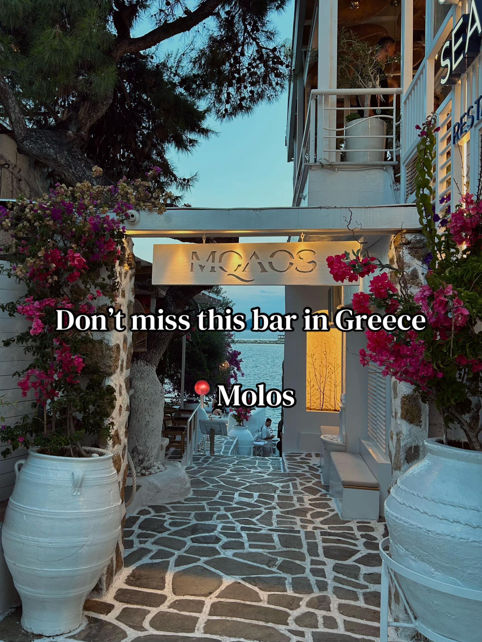 @ɪᴠᴀɴᴀ 🌼